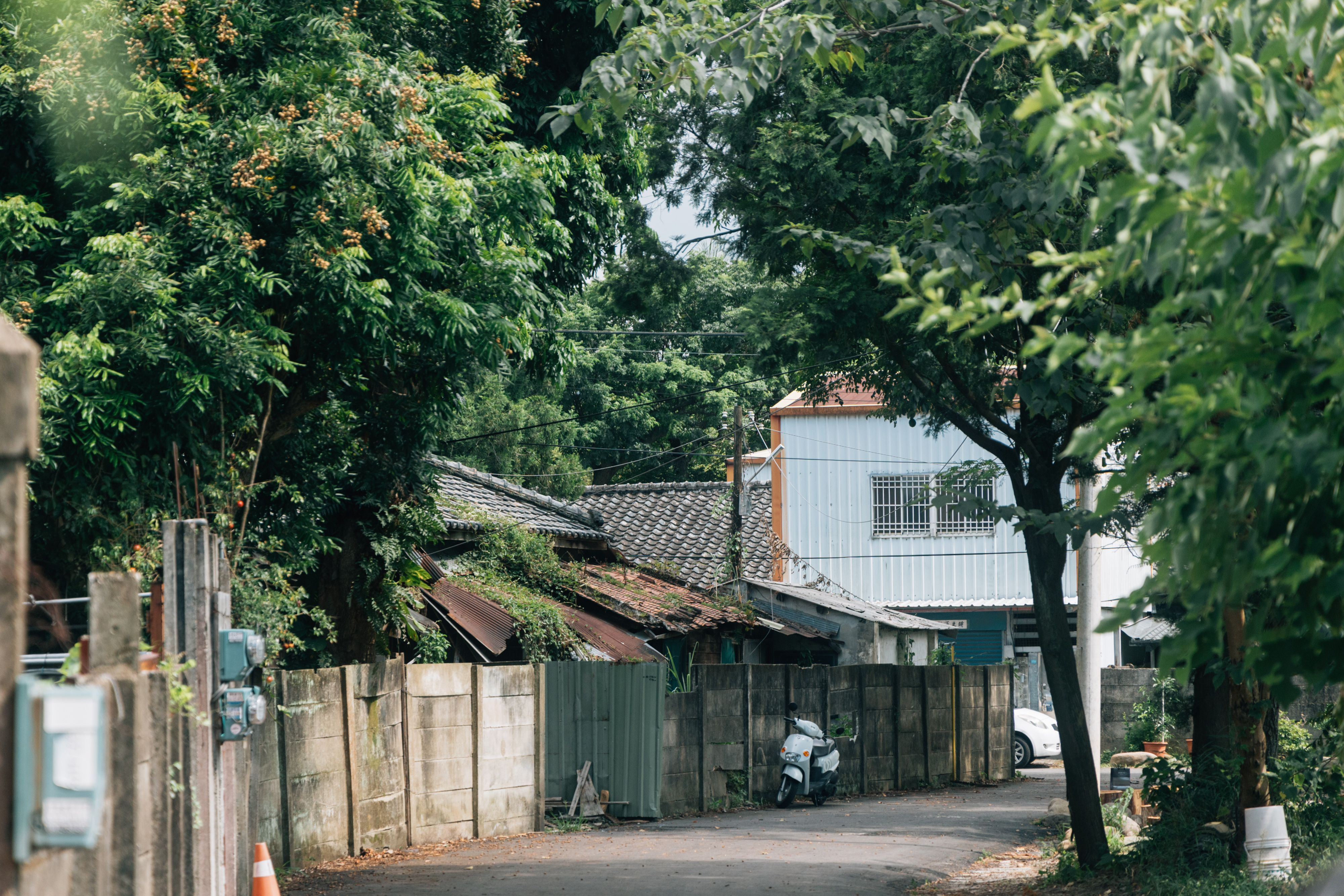 （攝影／溫翔宇）