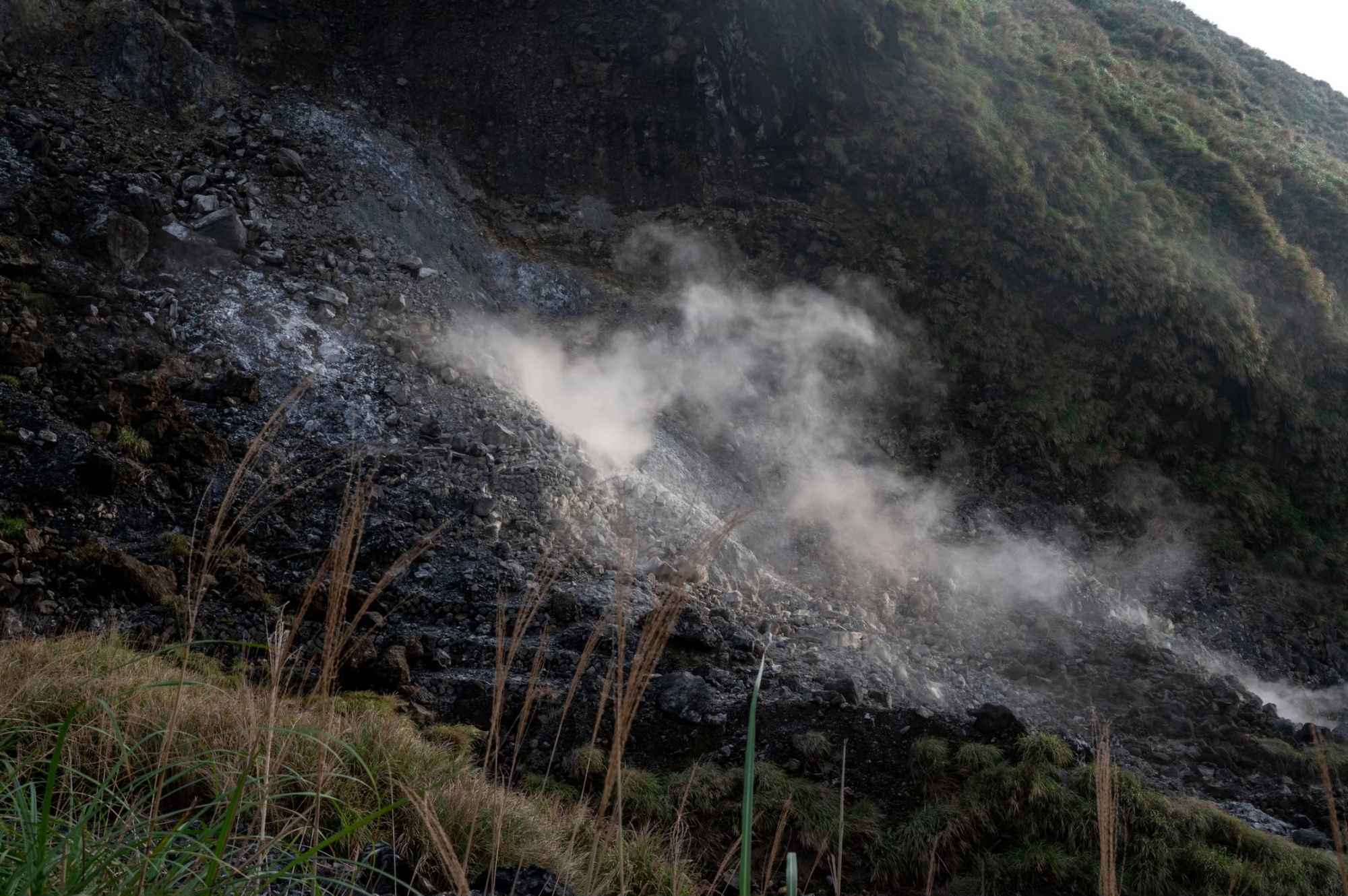 黃信樺和火山很有緣分,在美國期間曾研究黃石國家公園岩漿庫,返台後任職中研院地球所副研究員,也從事大屯火山岩漿庫研究。(攝影/林彥廷)