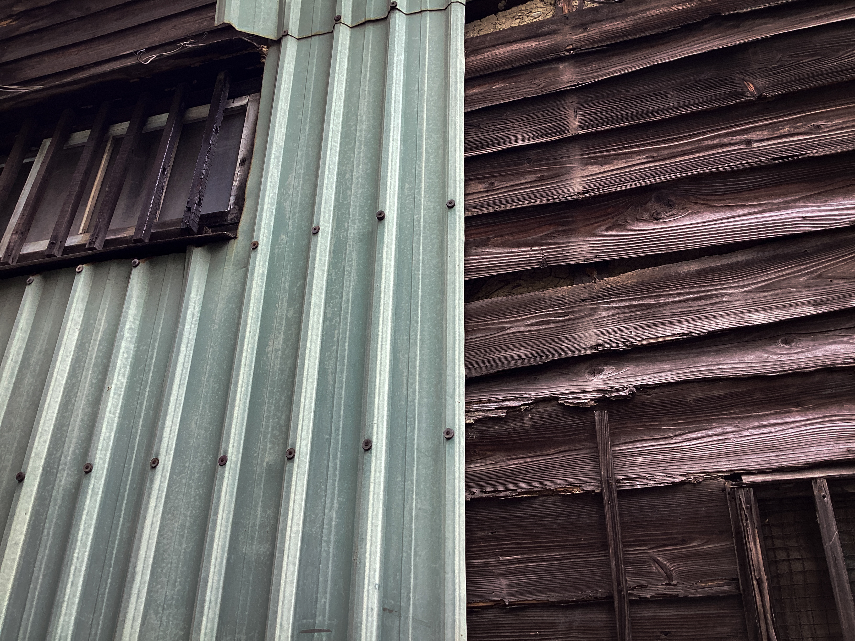 （攝影／陳以晴）