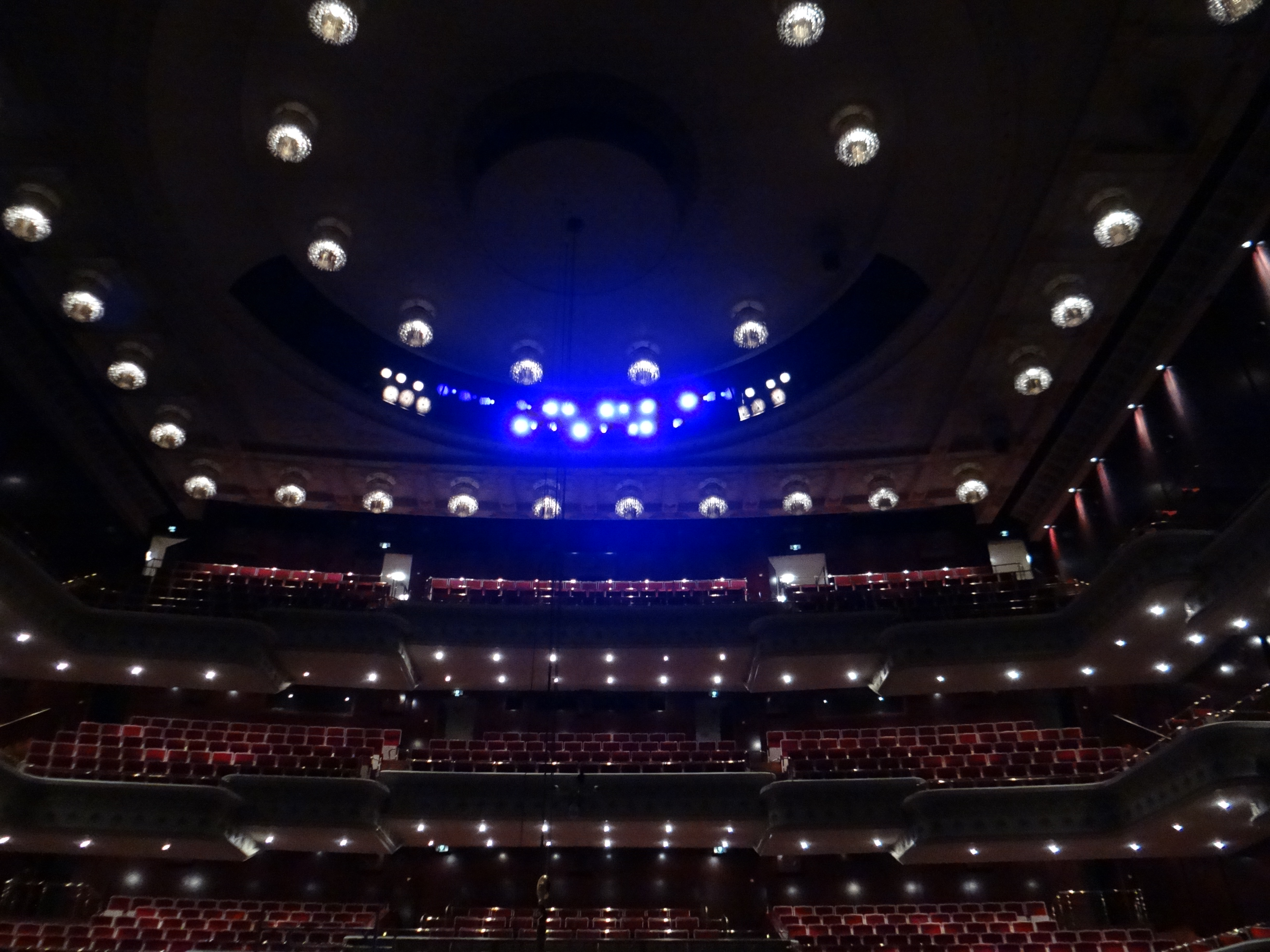 （攝影／張恩雅）