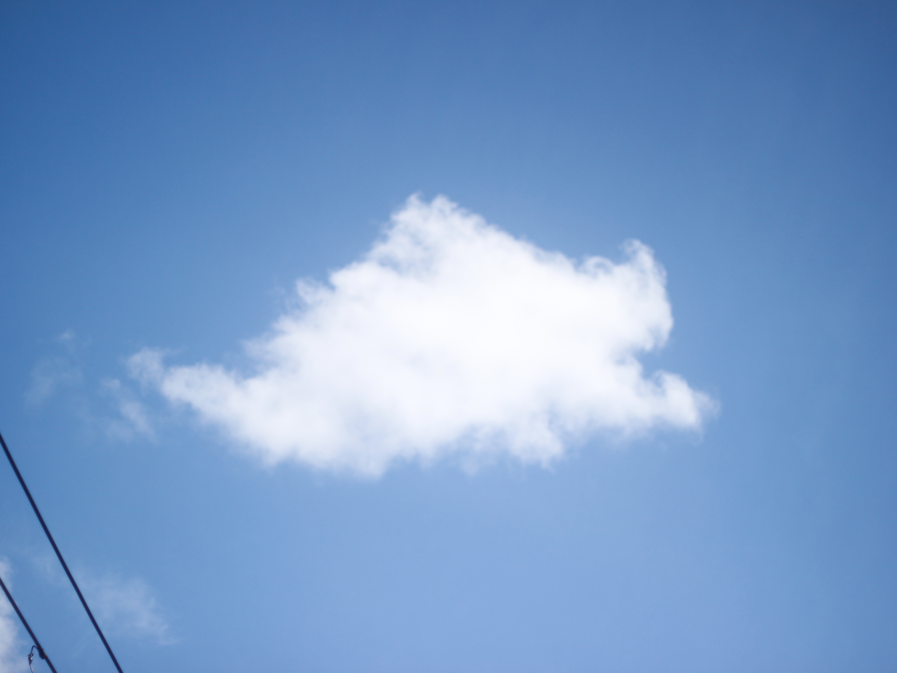 （攝影／孫宜熹）