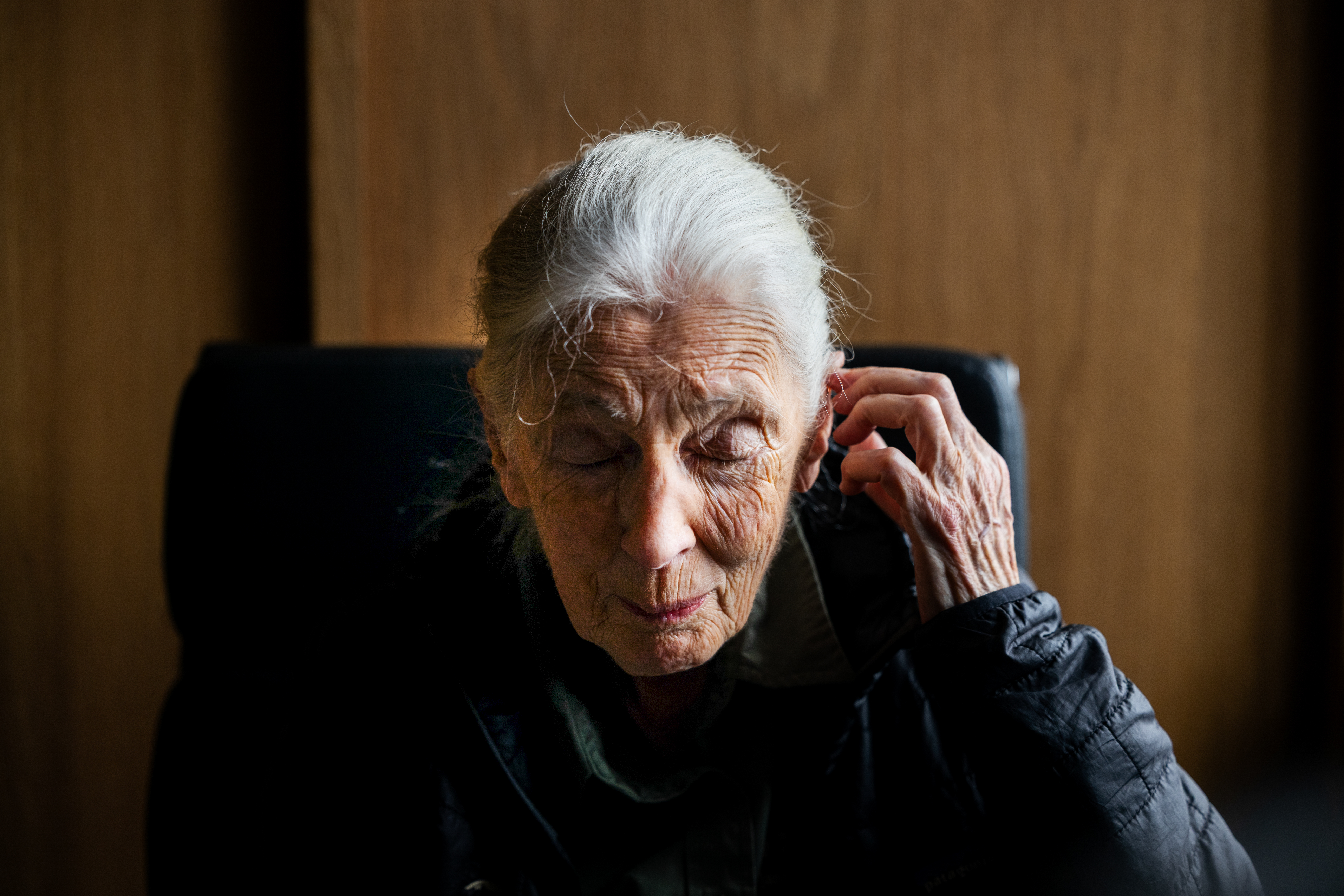 近距離觀察黑猩猩的過程,珍古德見證黑猩猩親吻、擁抱、牽手,也看見牠們的黑暗面。(攝影/蔡昕翰)