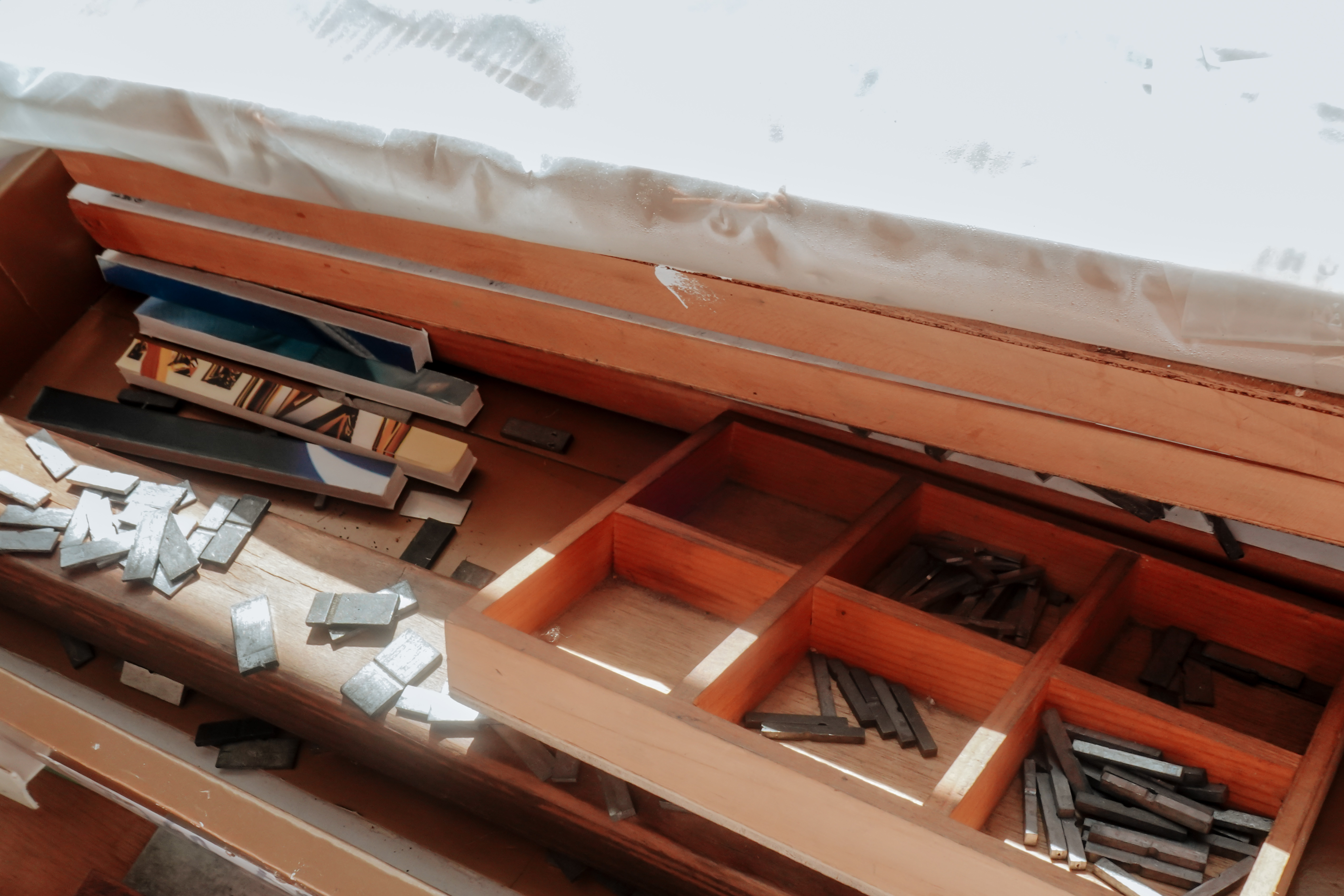 （攝影／陳星晴）