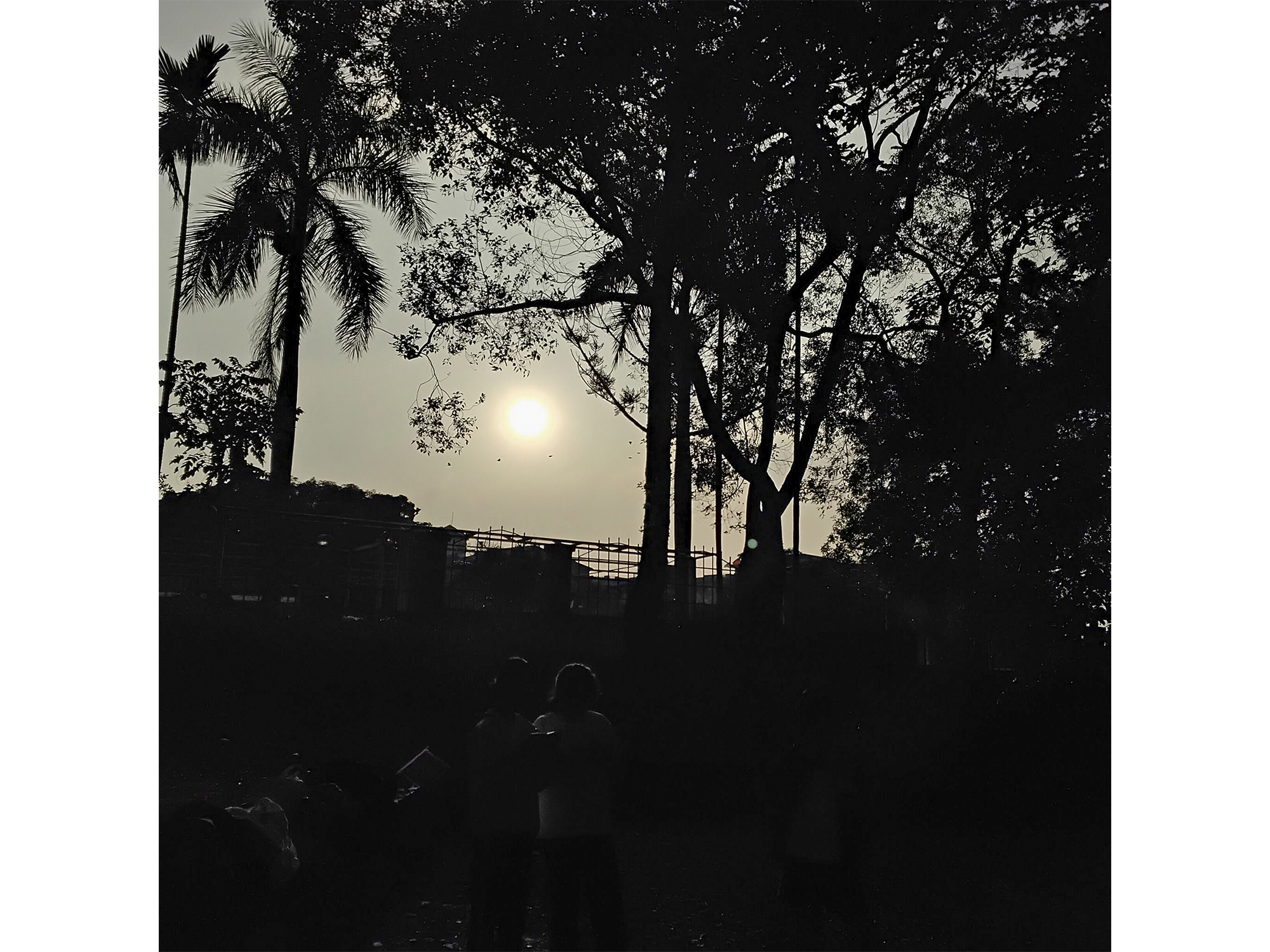 （攝影／張恩雅）