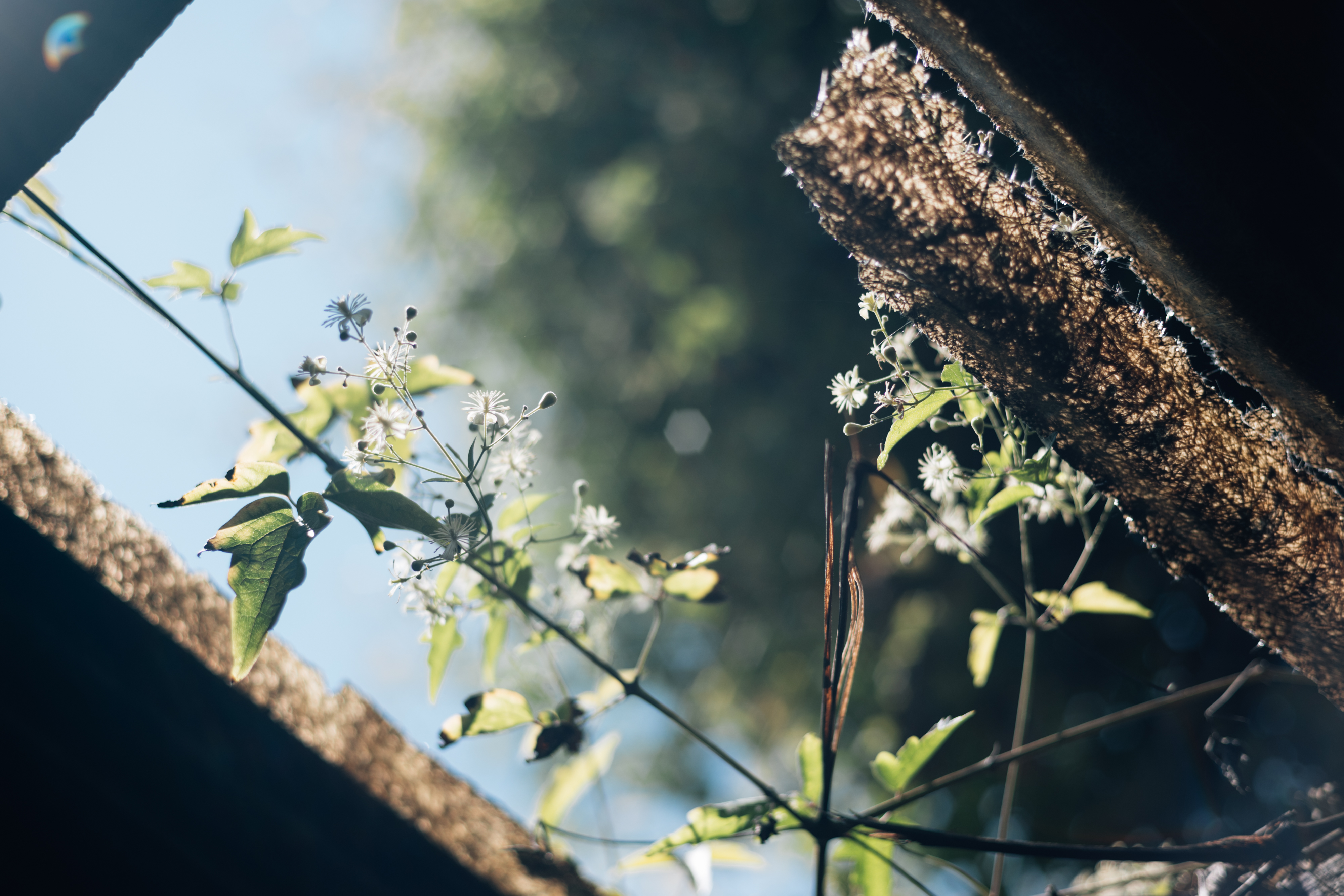 （攝影／溫翔宇）