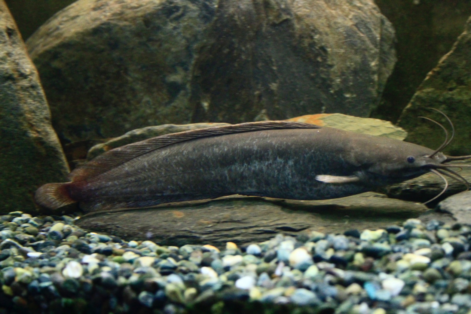 (圖片提供/鍾宸瑞)