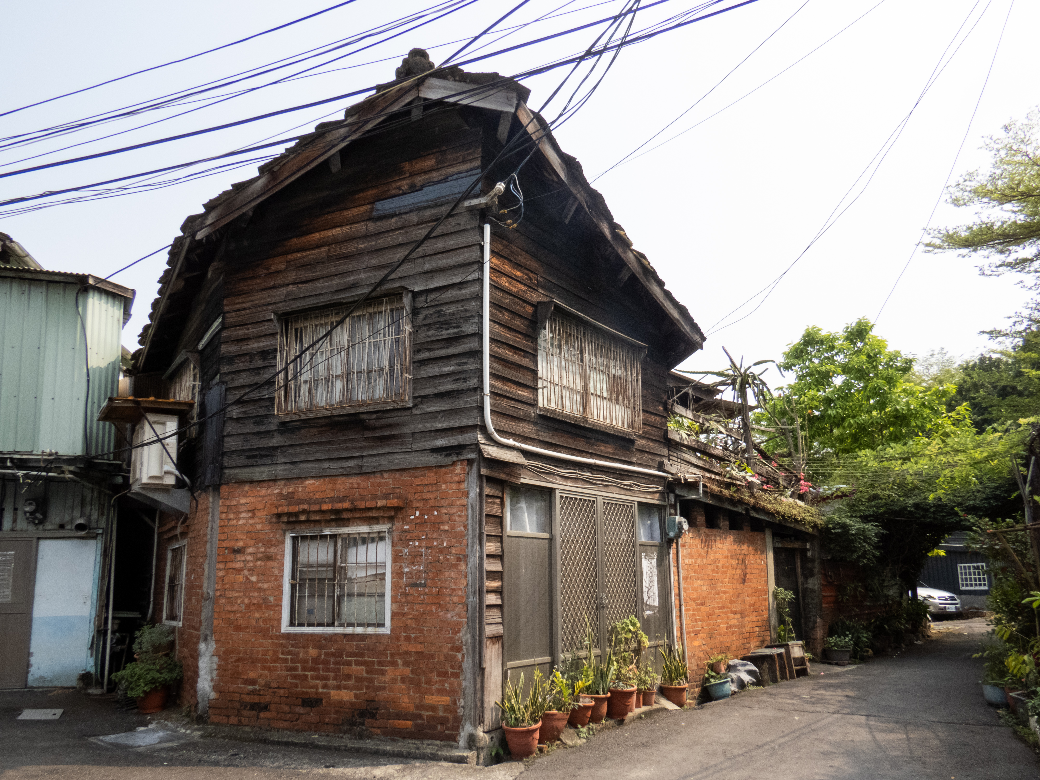 （攝影／林庭卉）