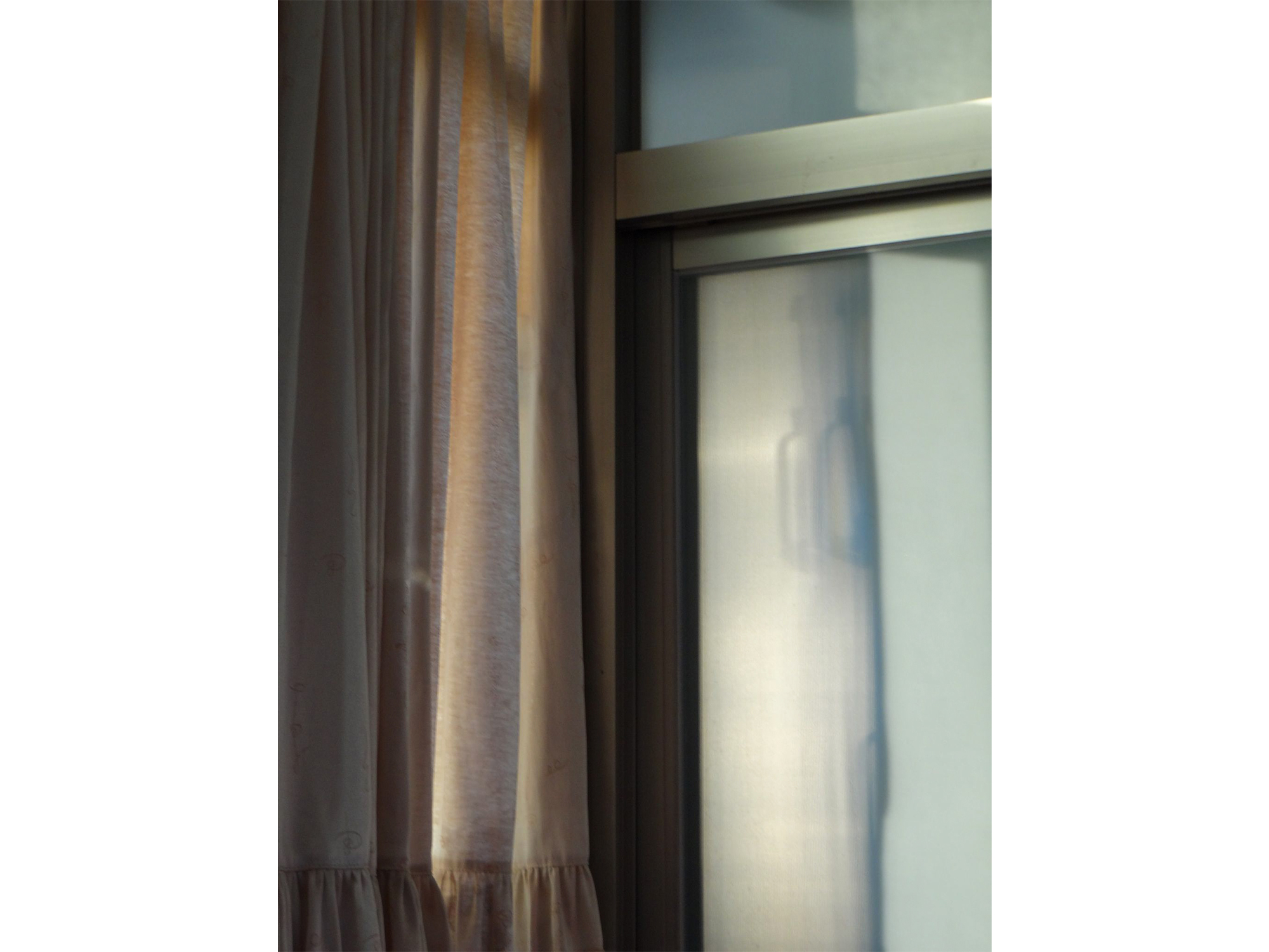 （攝影／張恩雅）