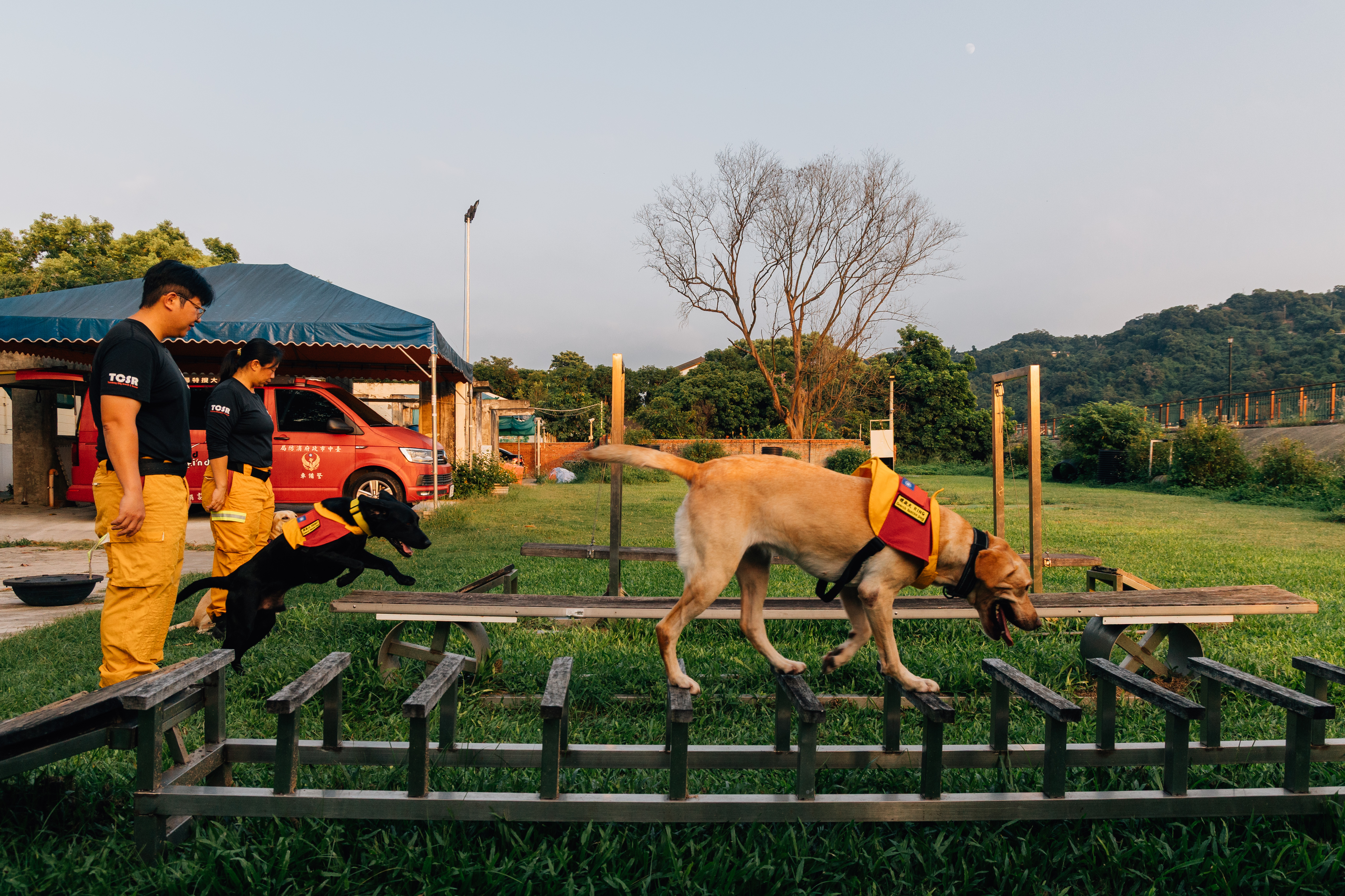 搜救犬的訓練內容包含在滑動平台、長隧道及水平梯上行動，目的是讓牠們能適應災區中不平坦的環境。（攝影／鄭宇辰）