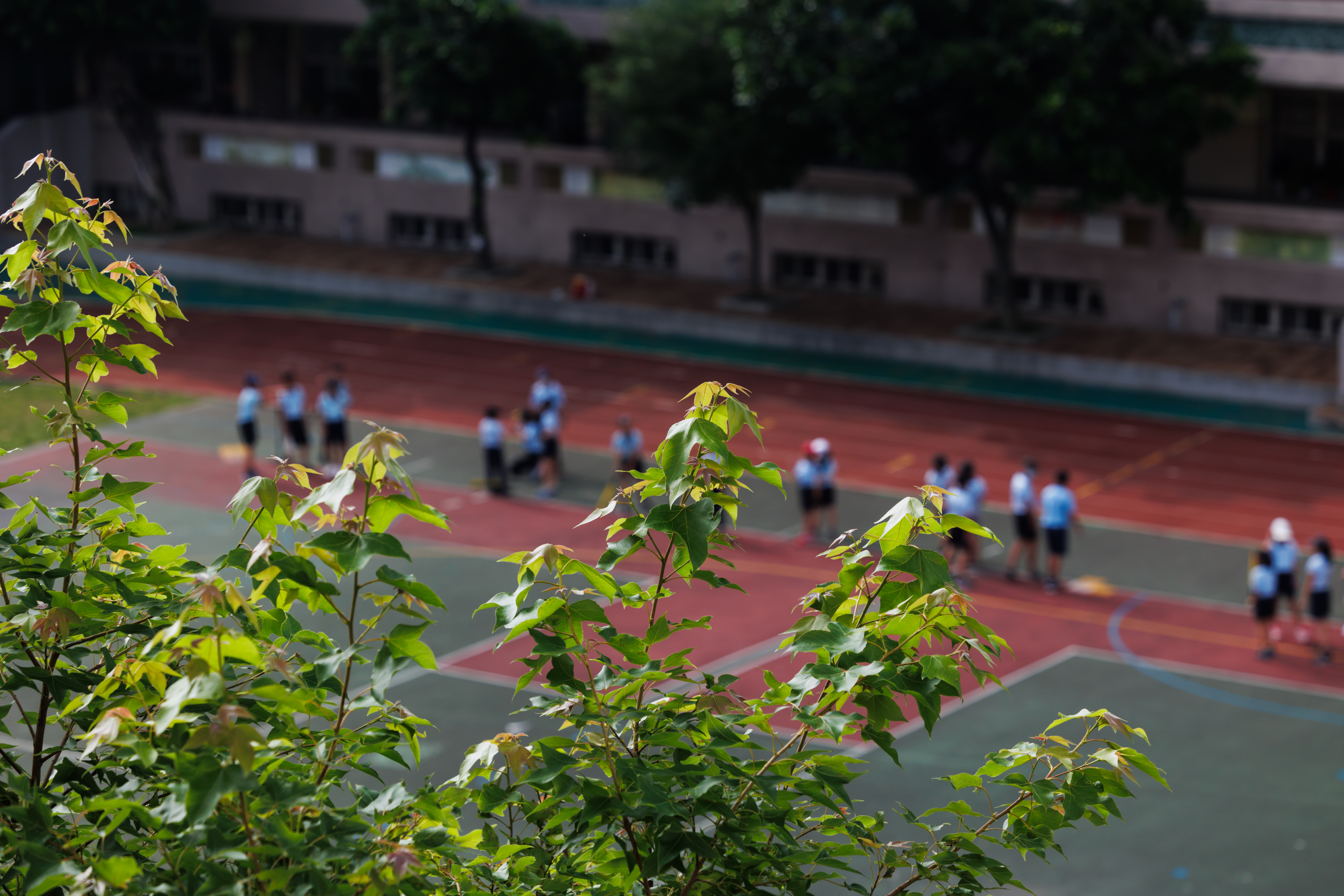 學校中的健康教育是最接近身體教育的一科，但在台灣，仍多局限在認識身體器官與功能，欠缺讓孩子體認 「身體之所在，自我之所在」的概念。（攝影／鄭宇辰）