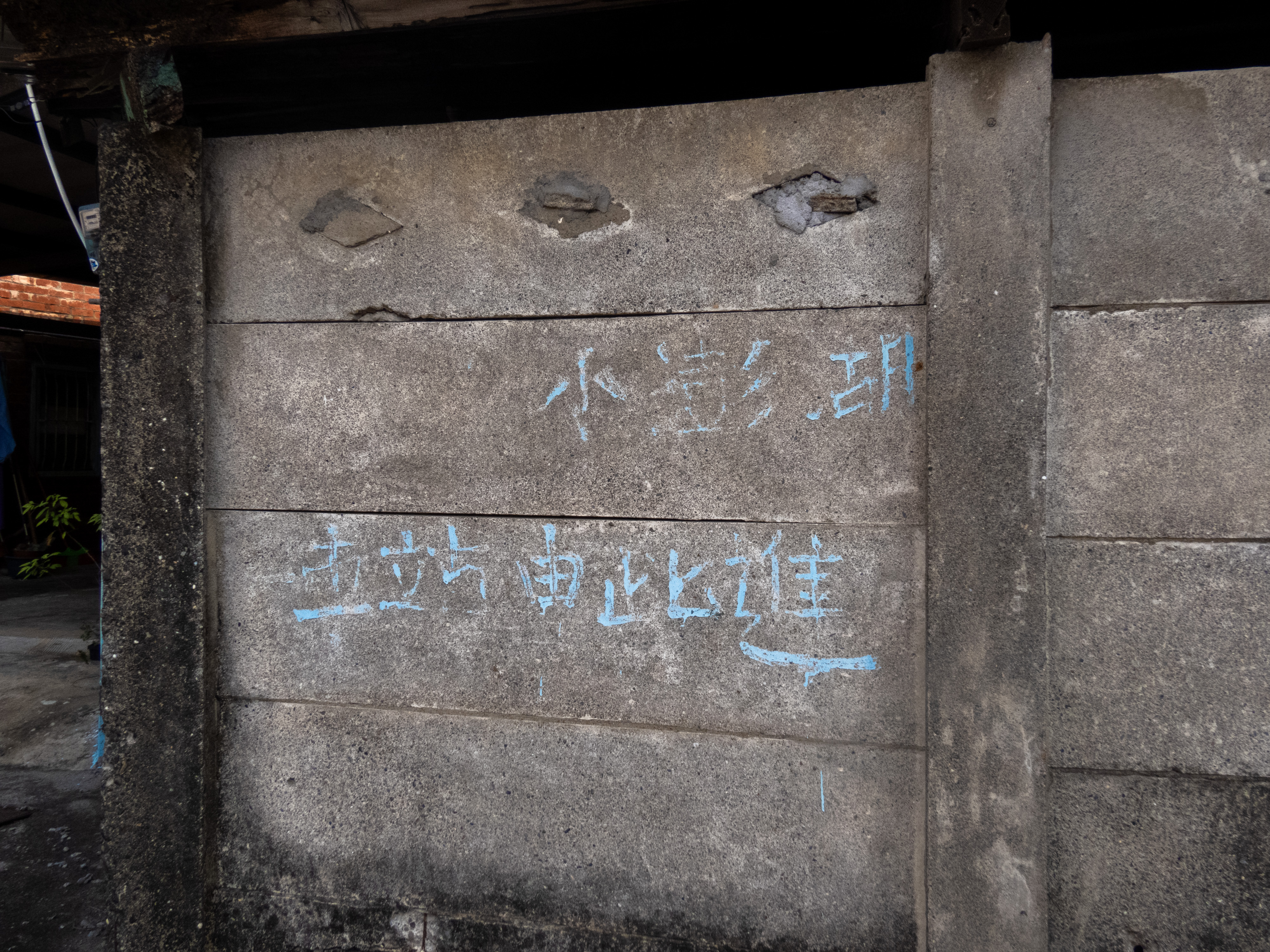 （攝影／陳柏維）
