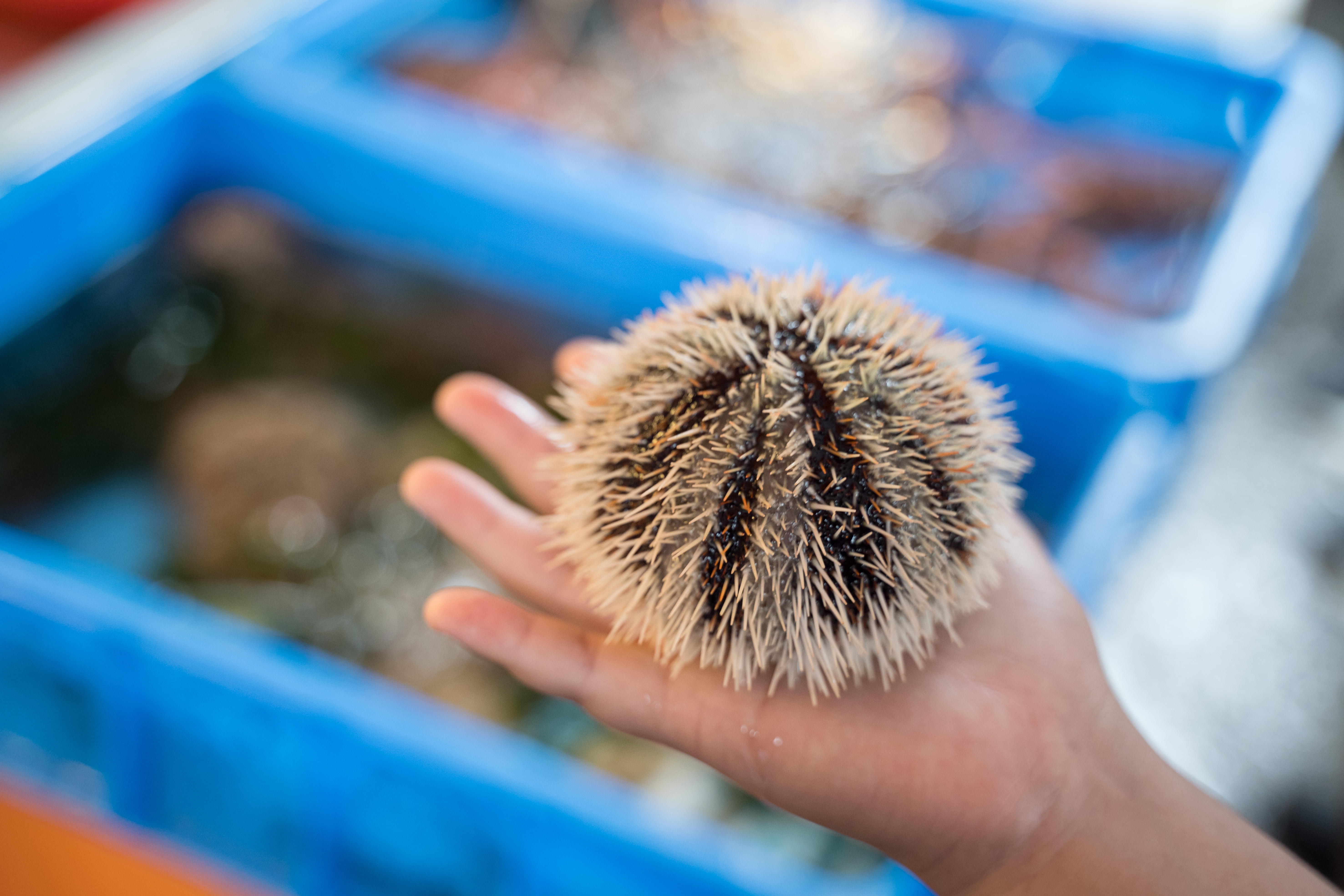 （攝影／唐佐欣）