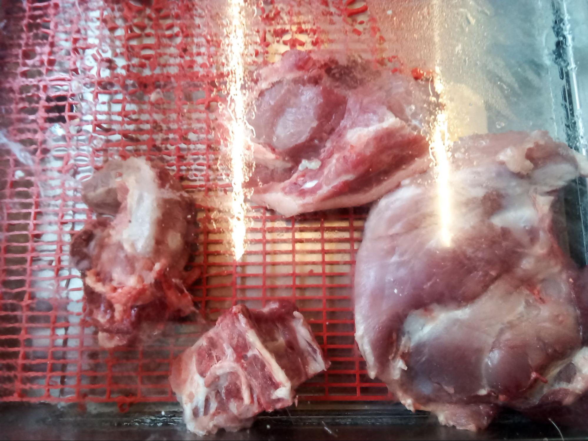 （攝影／曹語宸）