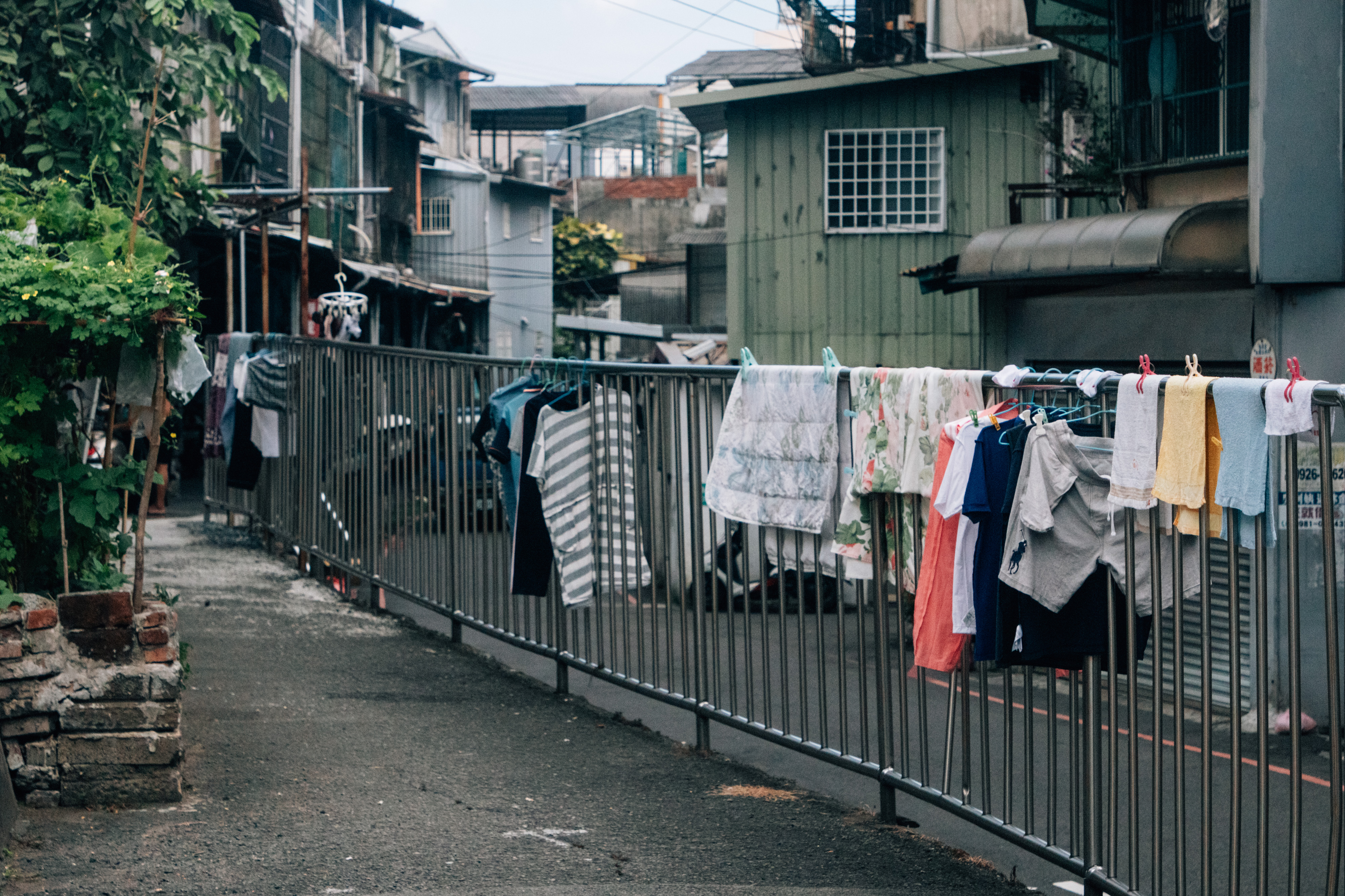 （攝影／徐巧穎）