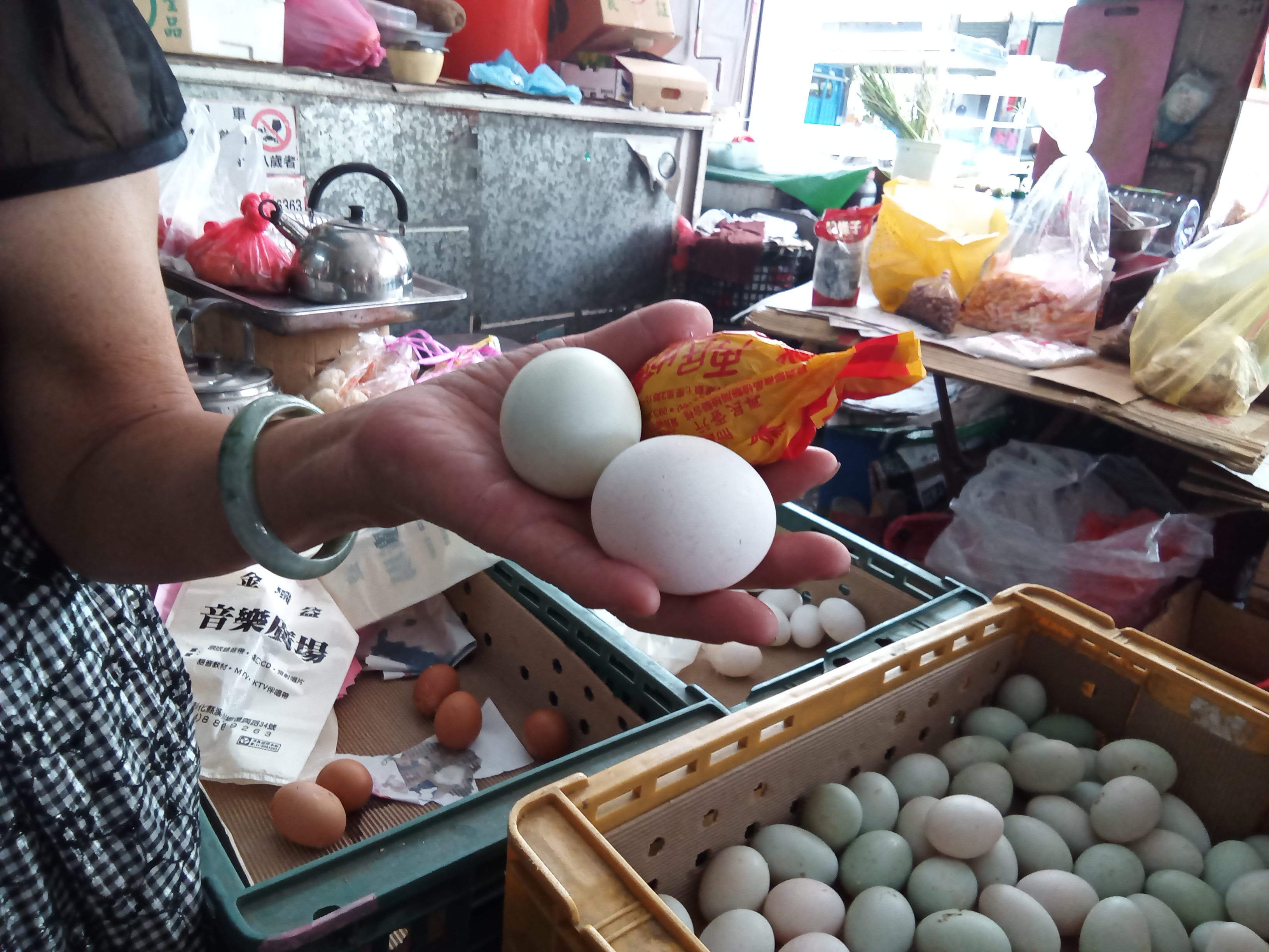 （攝影／謝羽柔）