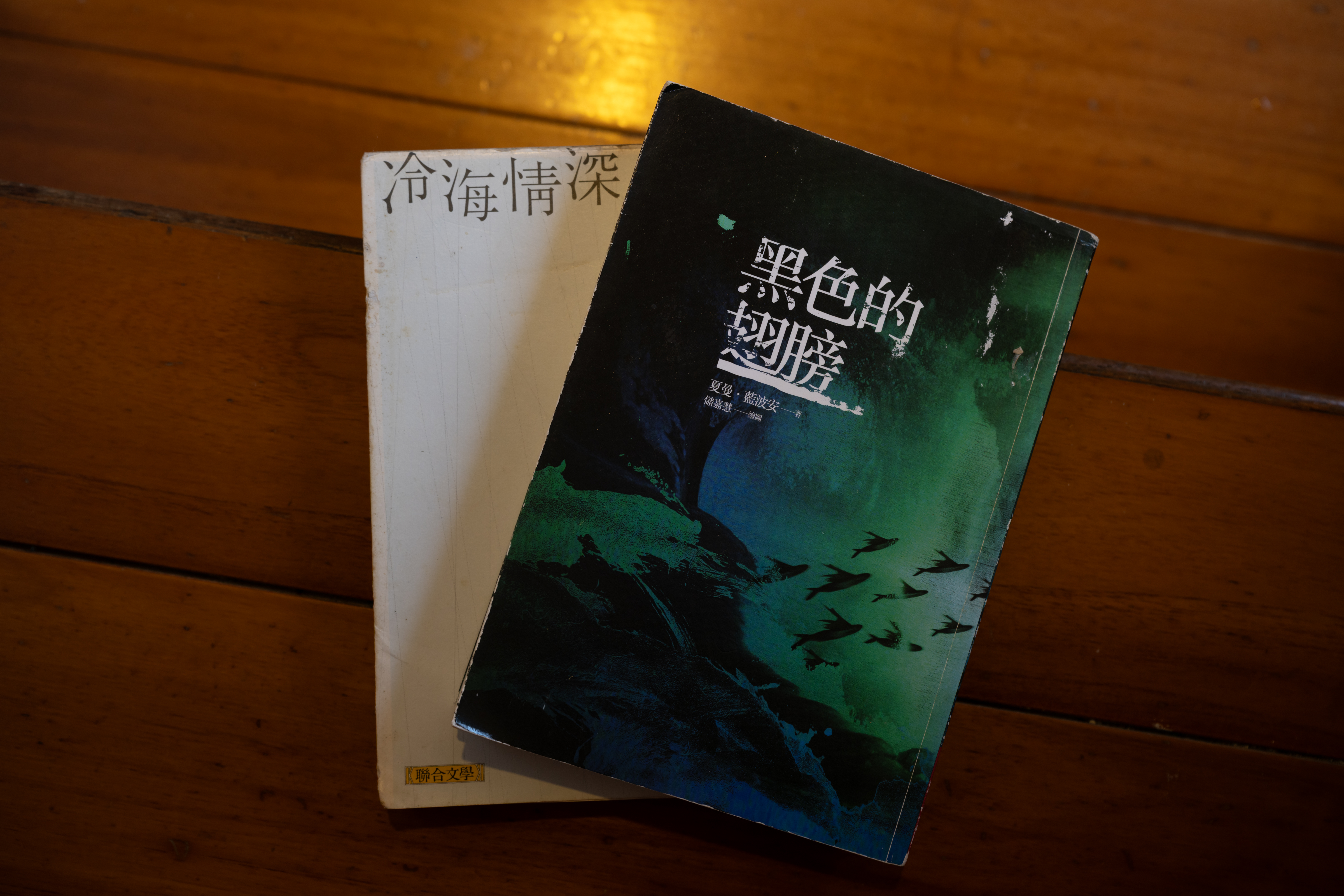 圖為夏曼．藍波安第一部得獎之作《黑色的翅膀》及書寫自身回歸蘭嶼、在海洋與族群間摸索並重建文化認同的散文集《冷海情深》。（攝影／謝佩穎）