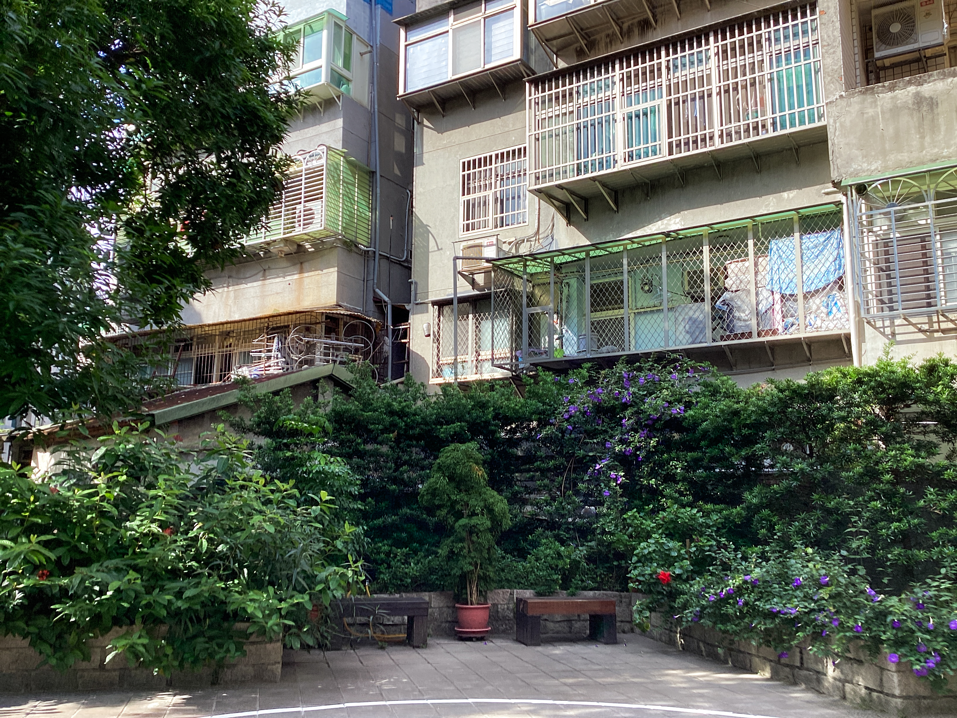 （攝影／葉承澔）
