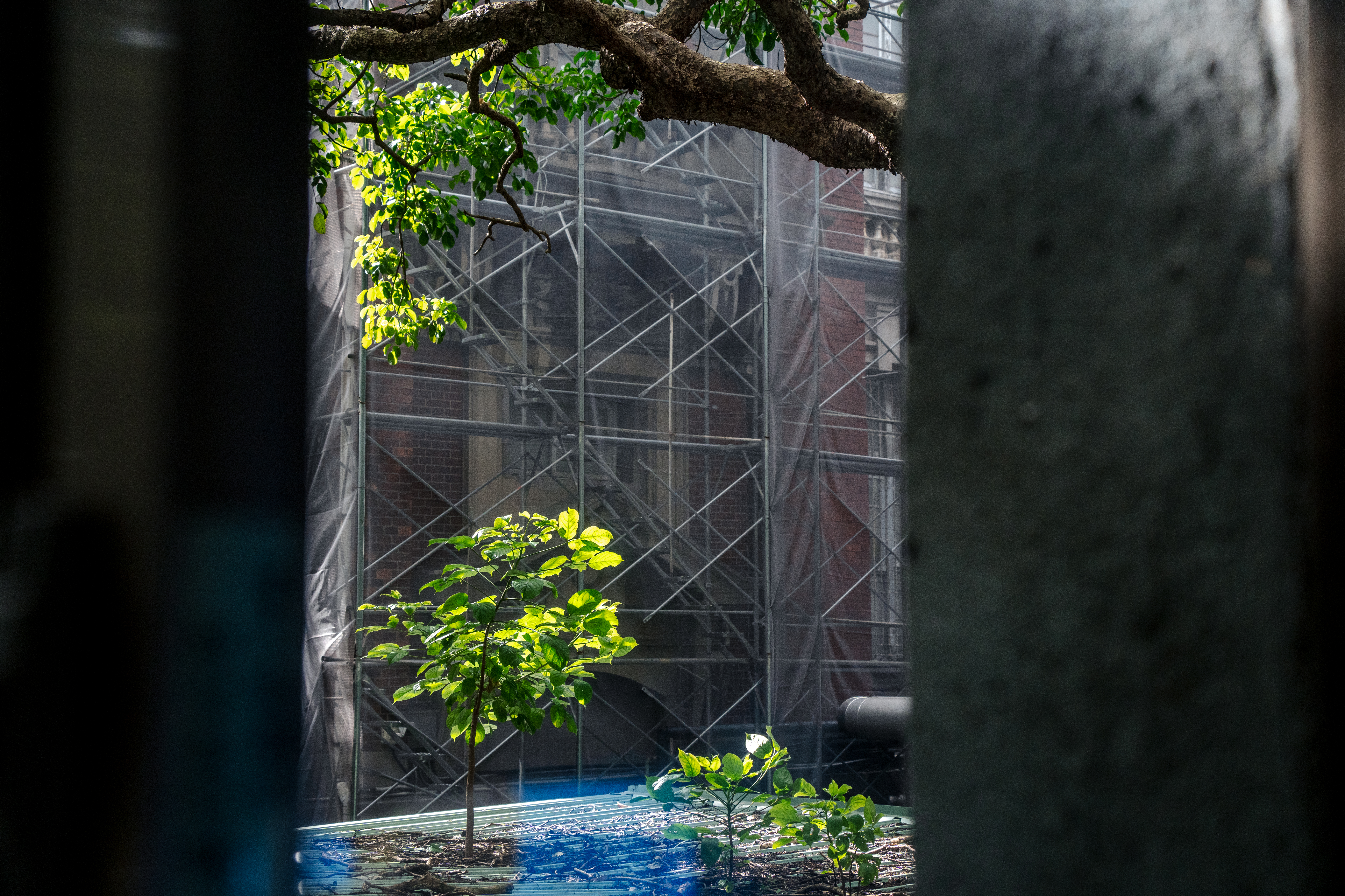 從童年複雜的家庭關係走到成為精神科醫師，徐志雲凝視社會中不同處境的人，並致力於為缺乏選擇的人們尋找更多可能。（攝影／王崴漢）