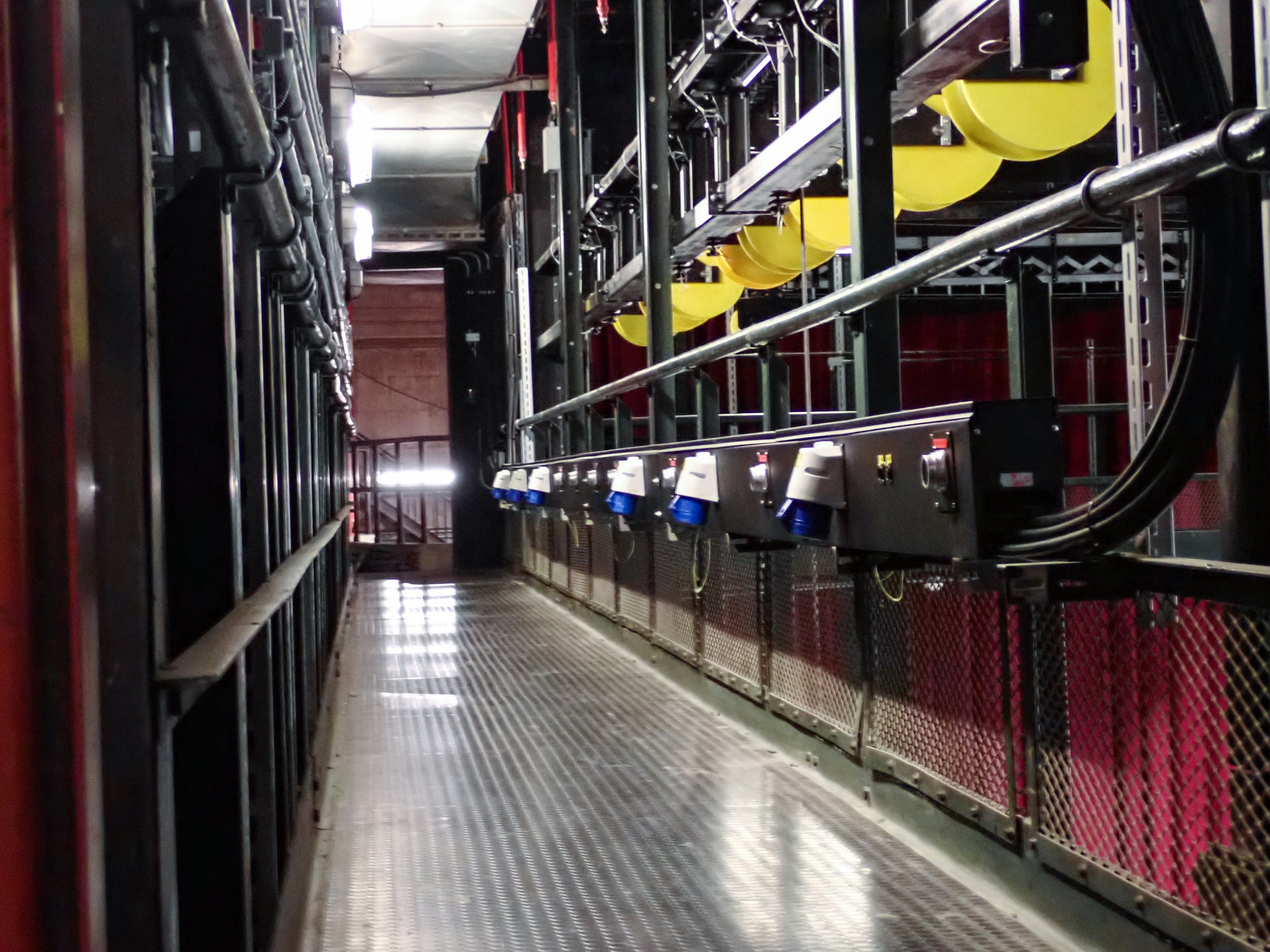 （攝影／楊惟宸）
