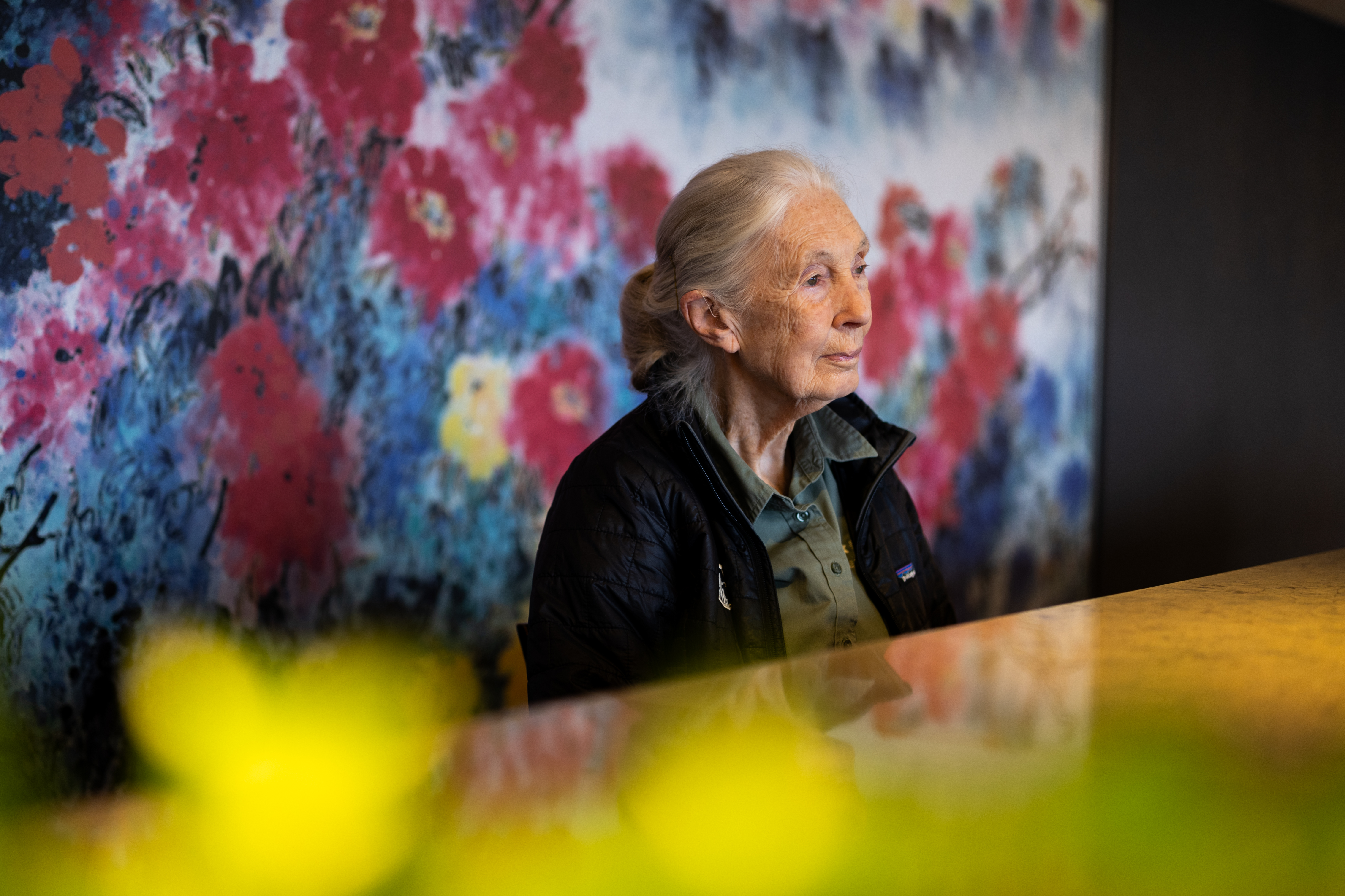 珍古德說,如果不是媽媽,她所有的好奇心都可能被扼殺,就不會成為今天的自己。(攝影/蔡昕翰)