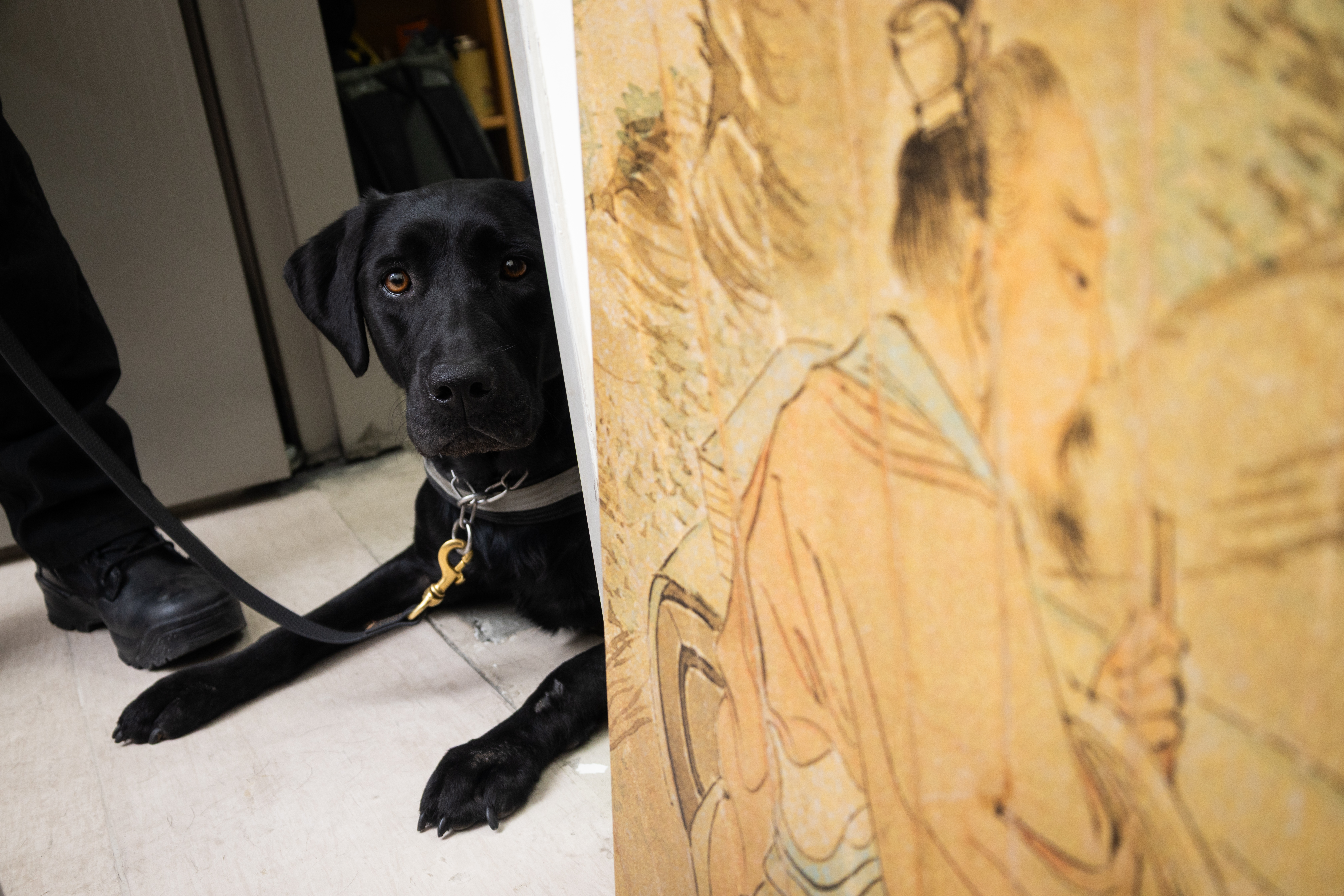 （攝影／蔡昕翰）