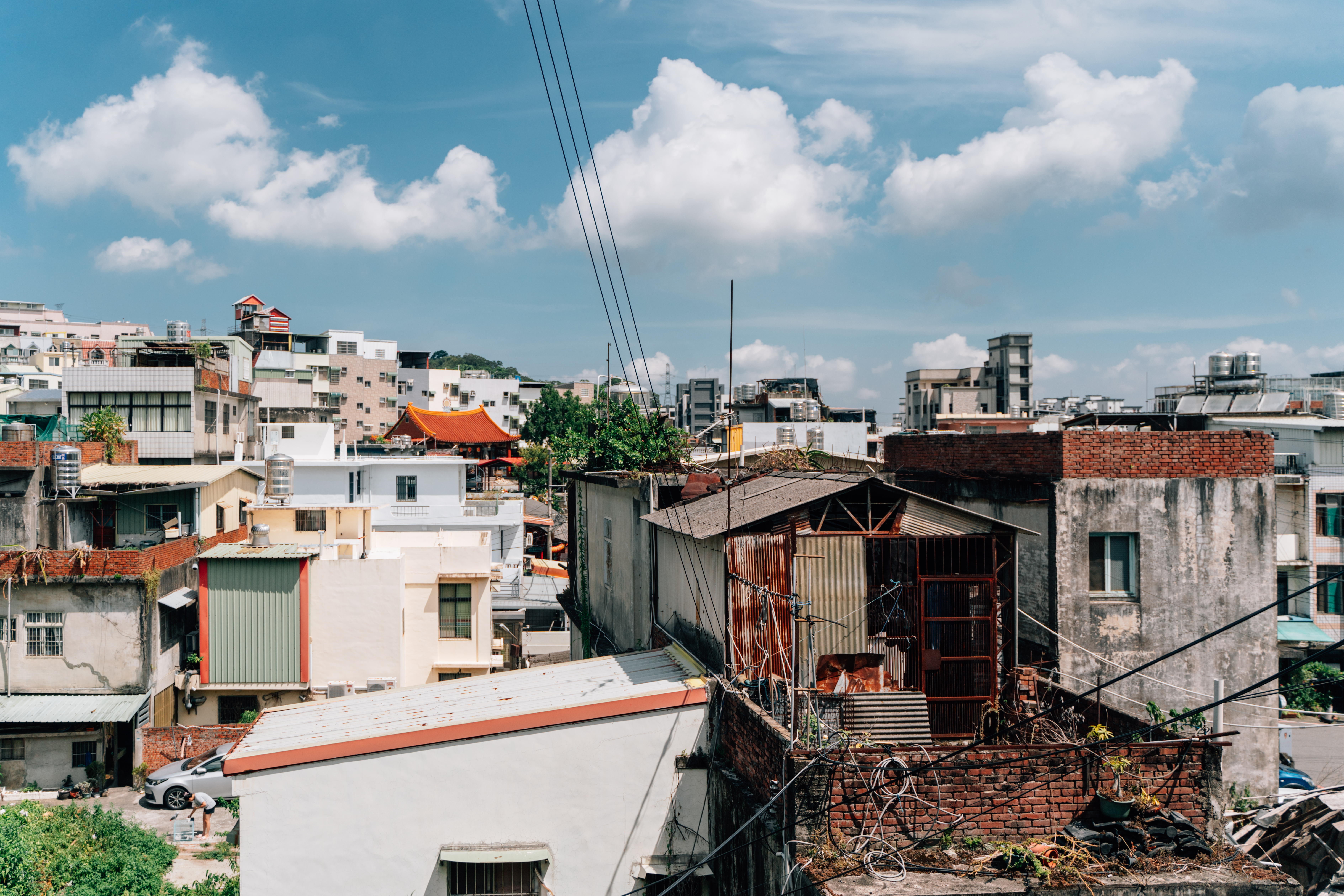 （攝影／温芷翎）