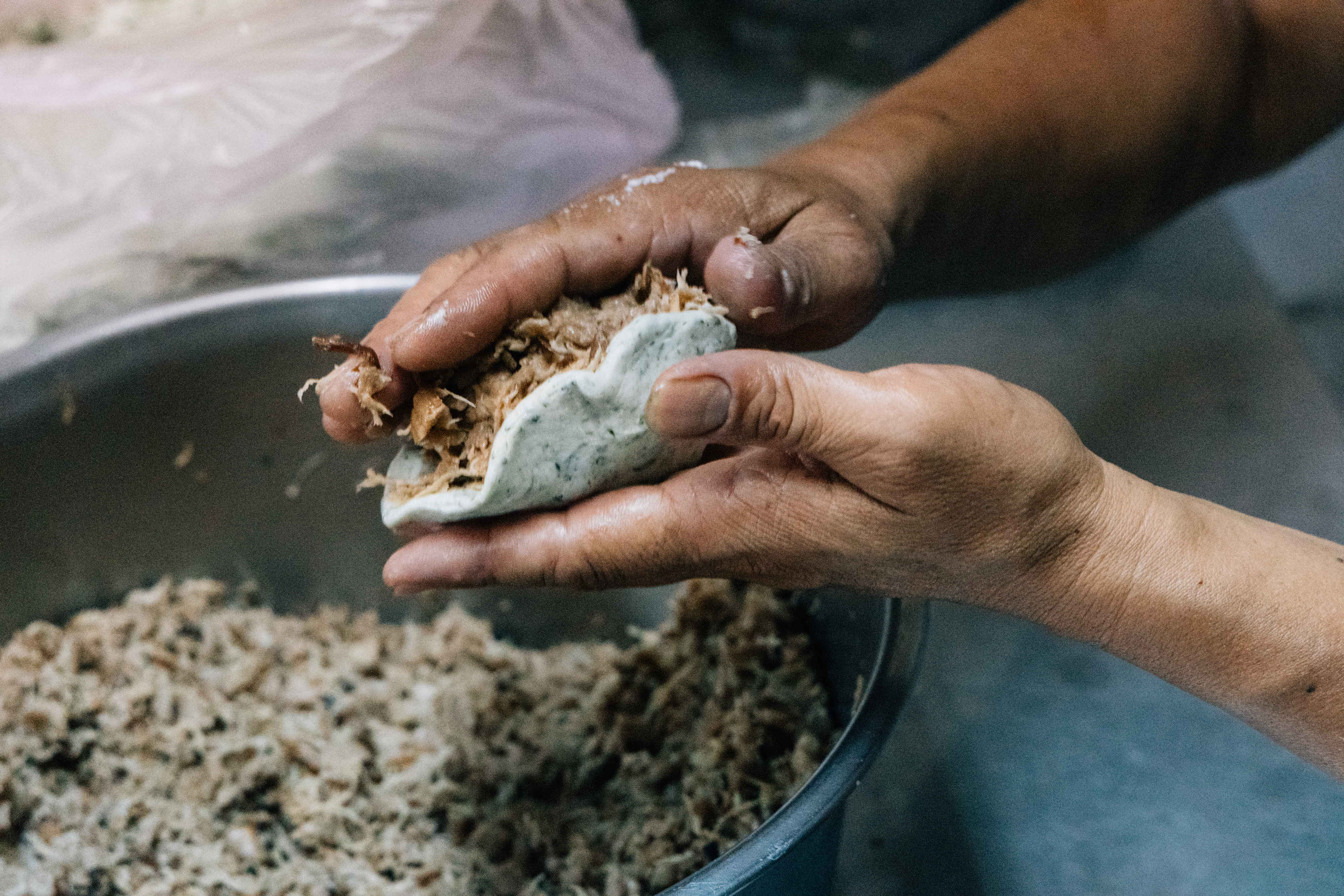 （攝影／林宥辰）