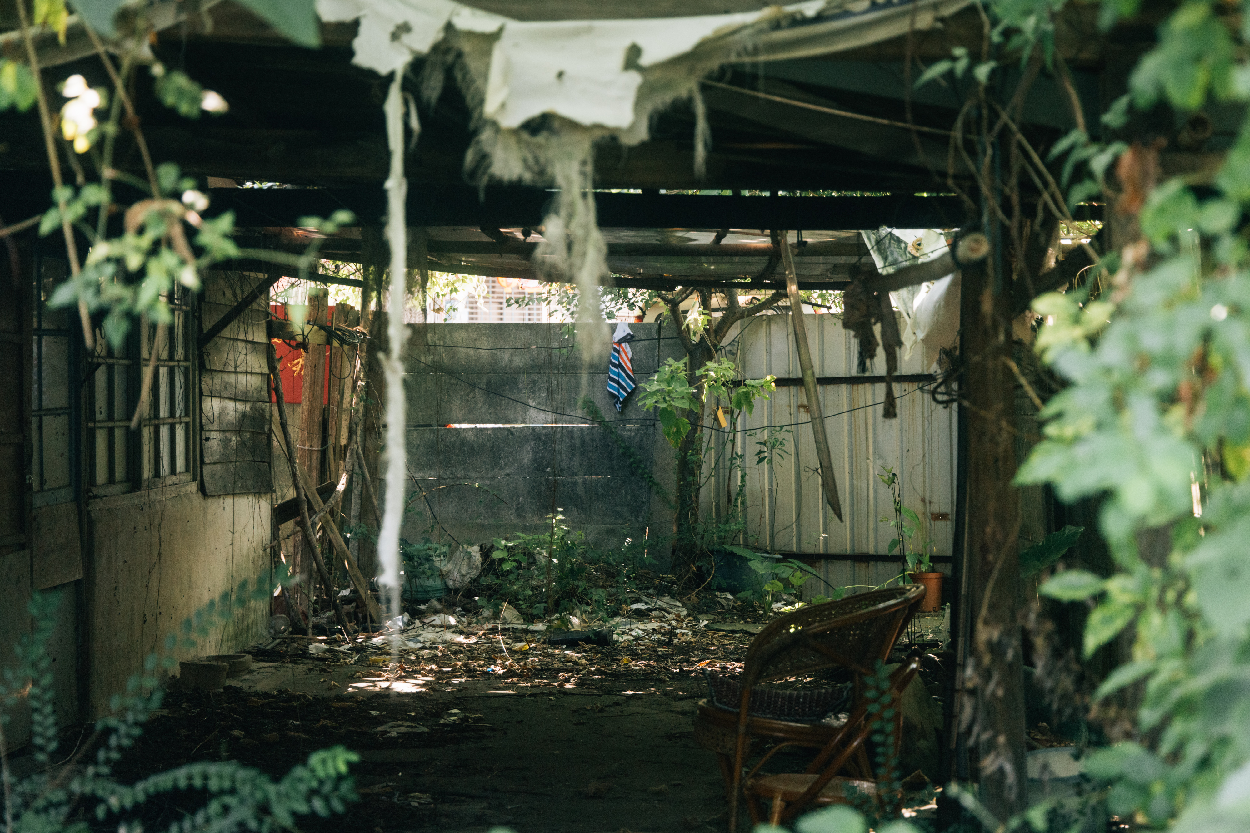 （攝影／溫翔宇）