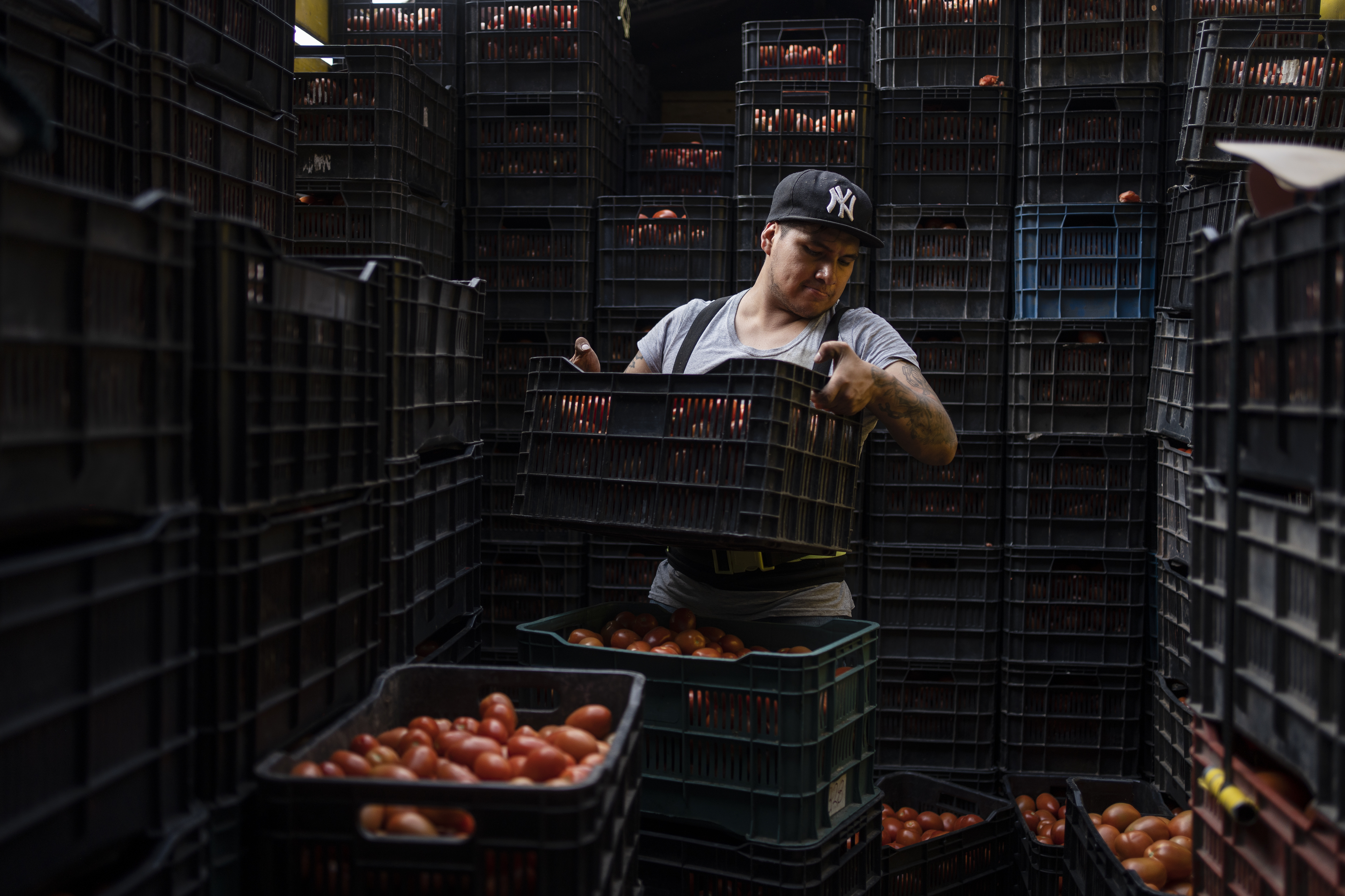 2025年7月15日,番茄商人在墨西哥城的批發市場卸貨。(攝影/Felix Marquez/dpa/AP Images/達志影像)