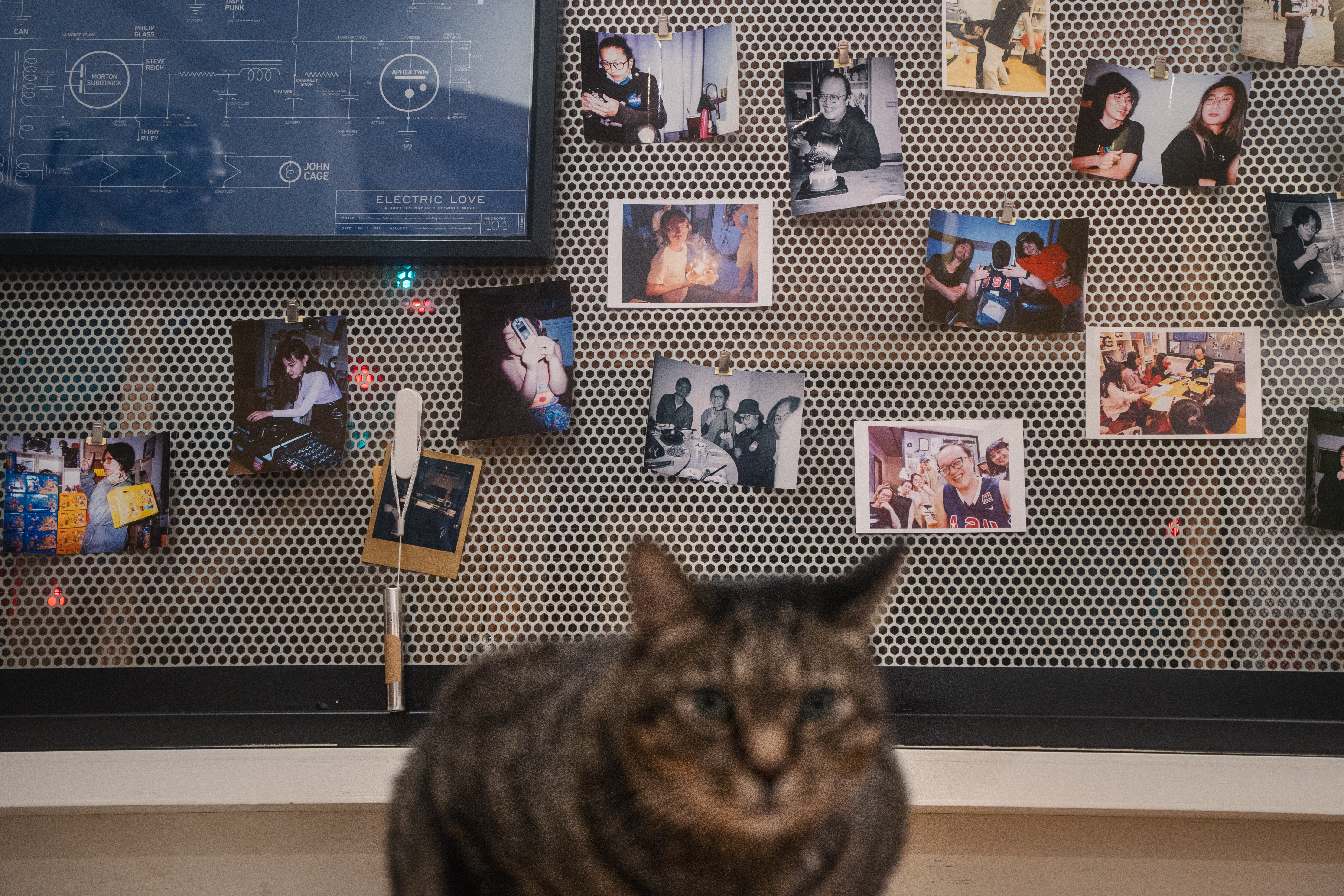 在黃少雍工作室中，有著一幅電子音樂歷史藍圖、眾多與親朋好友相處的回憶照片，以及貓咪相伴左右。（攝影／王崴漢）