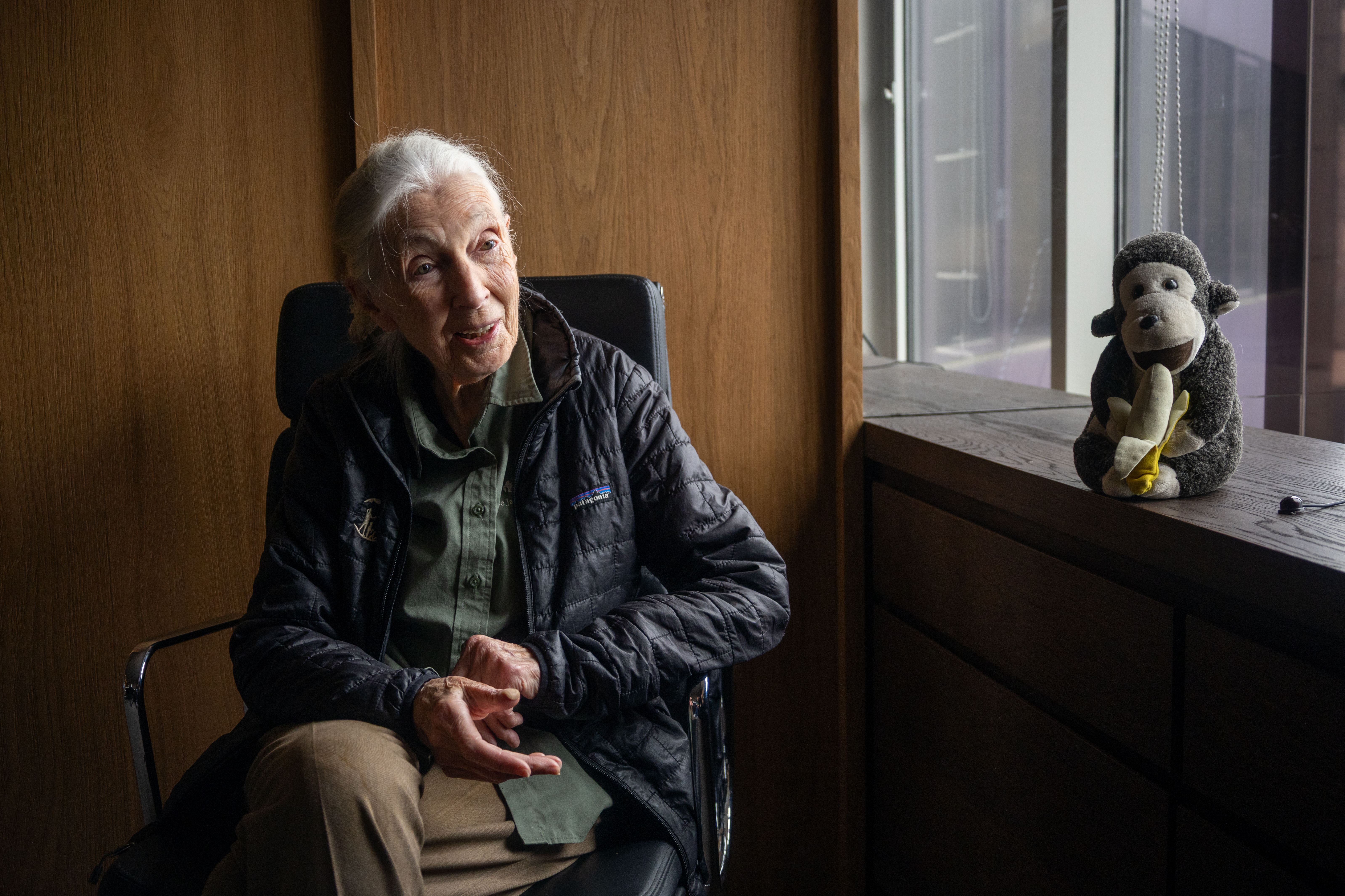 青少年時期的珍古德,滿腦子想的都是去非洲與動物生活在一起,帶著開放的思想、求知的渴望與無比的耐心。(攝影/蔡昕翰)