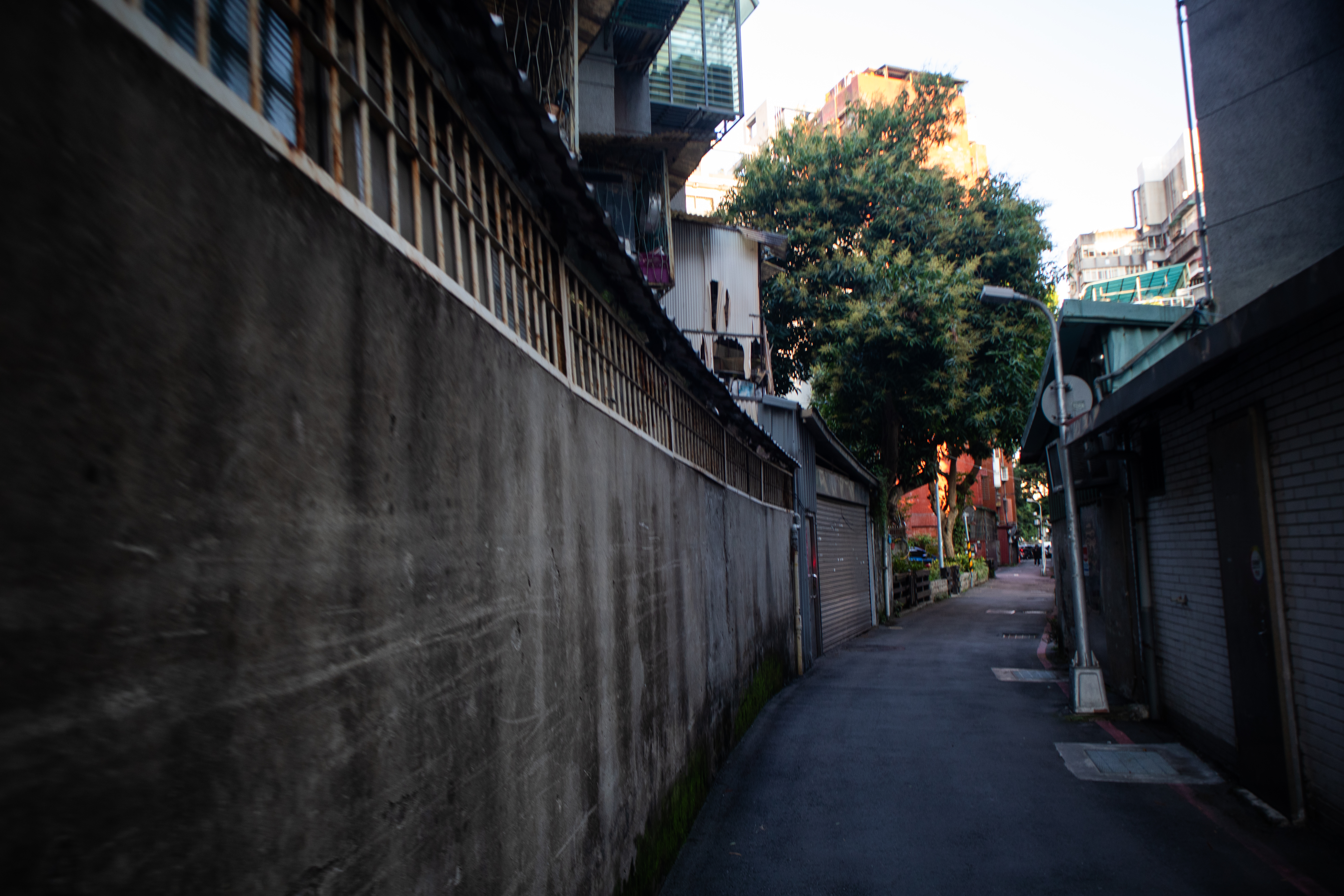 （攝影／蔡昕翰）