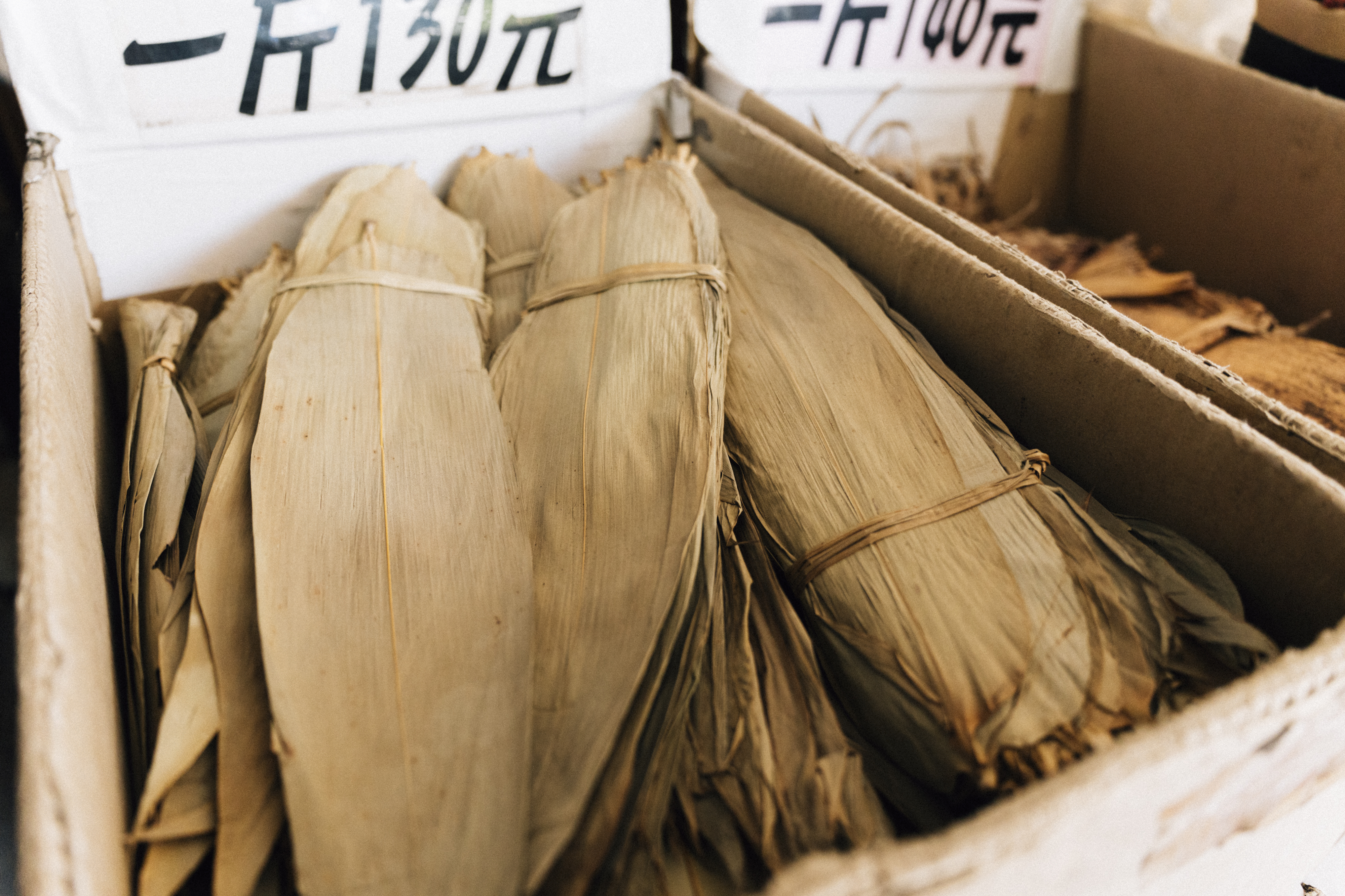 （攝影／金妤芯）