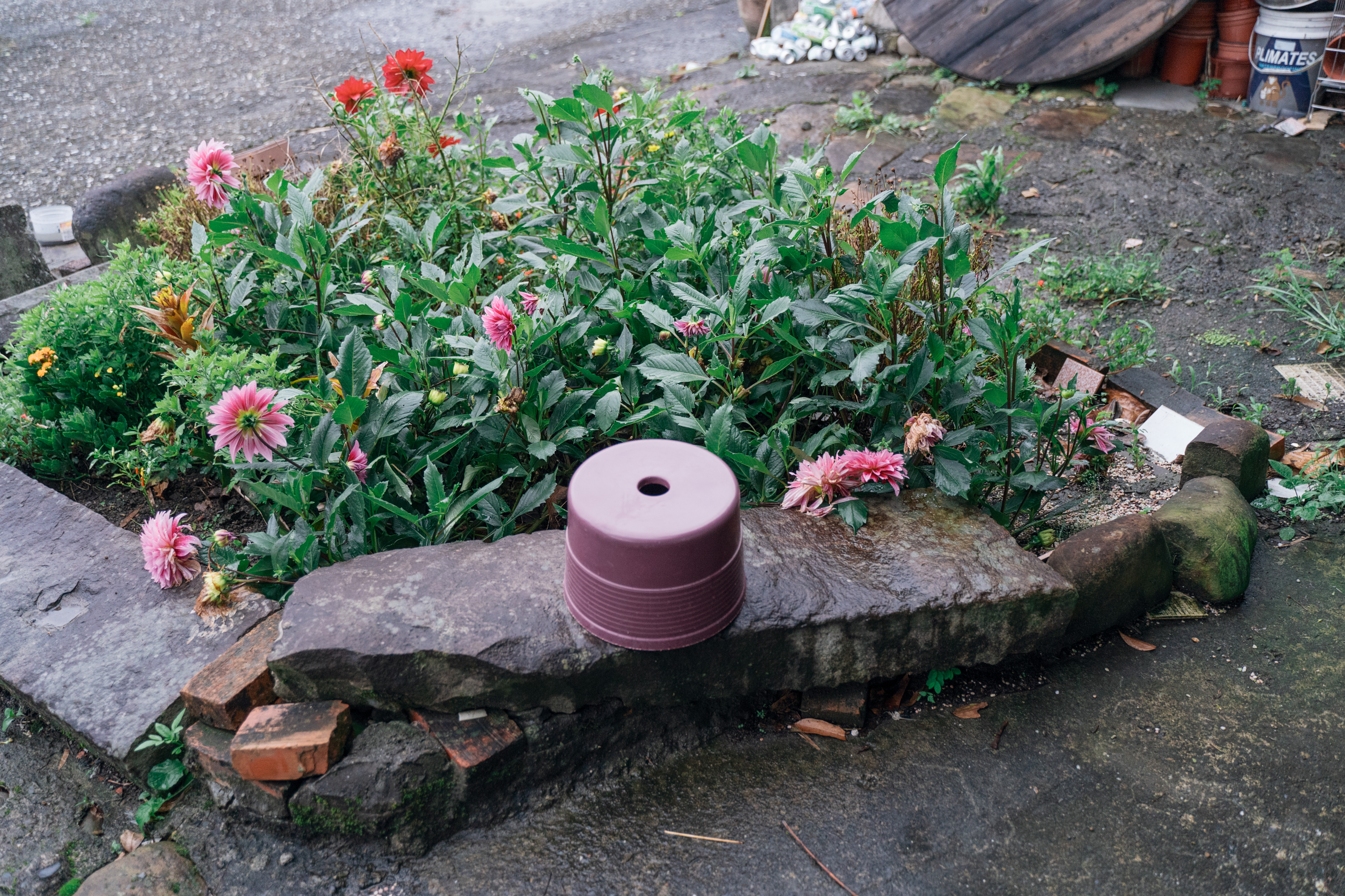 （攝影／唐佐欣）