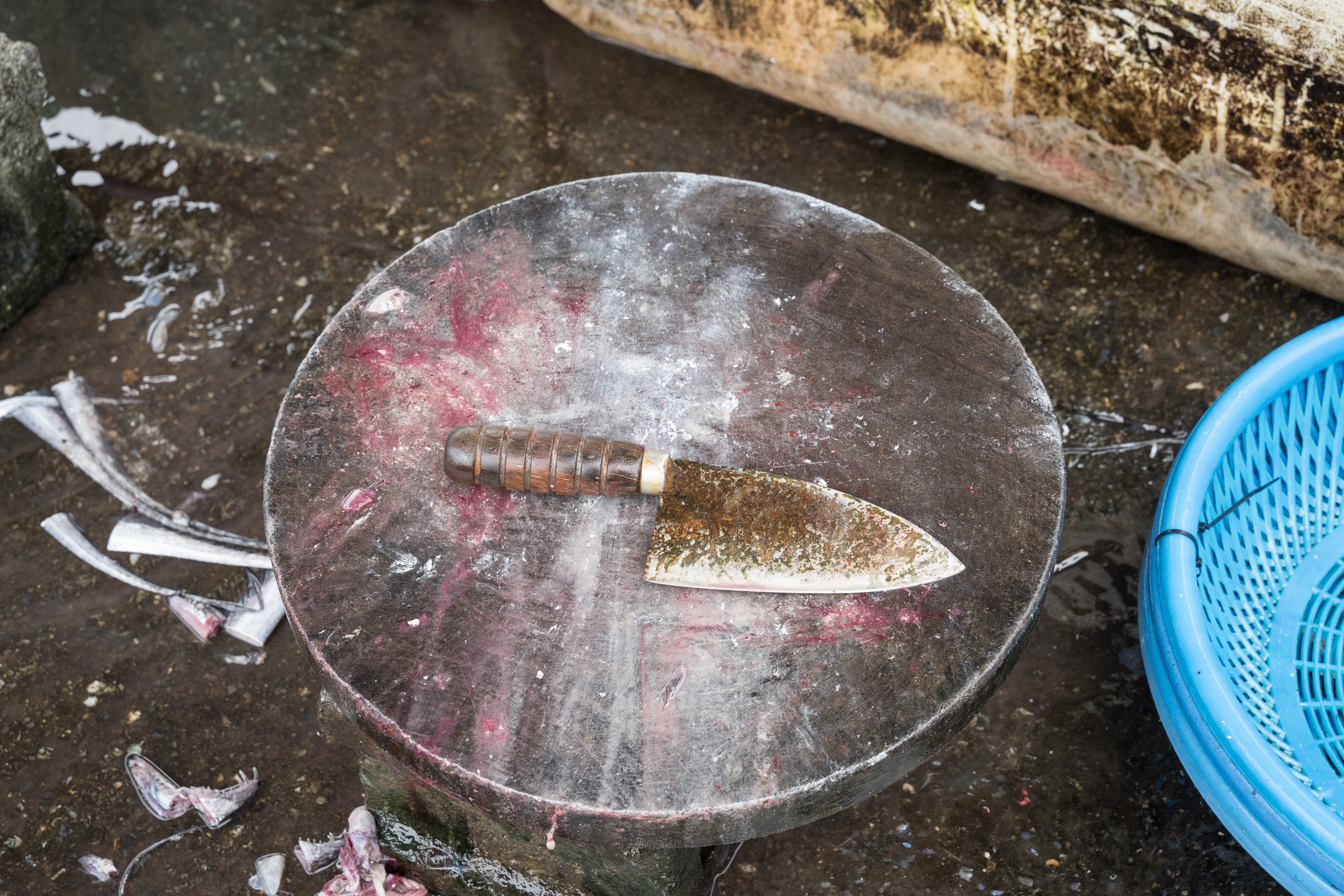 （攝影／唐佐欣）