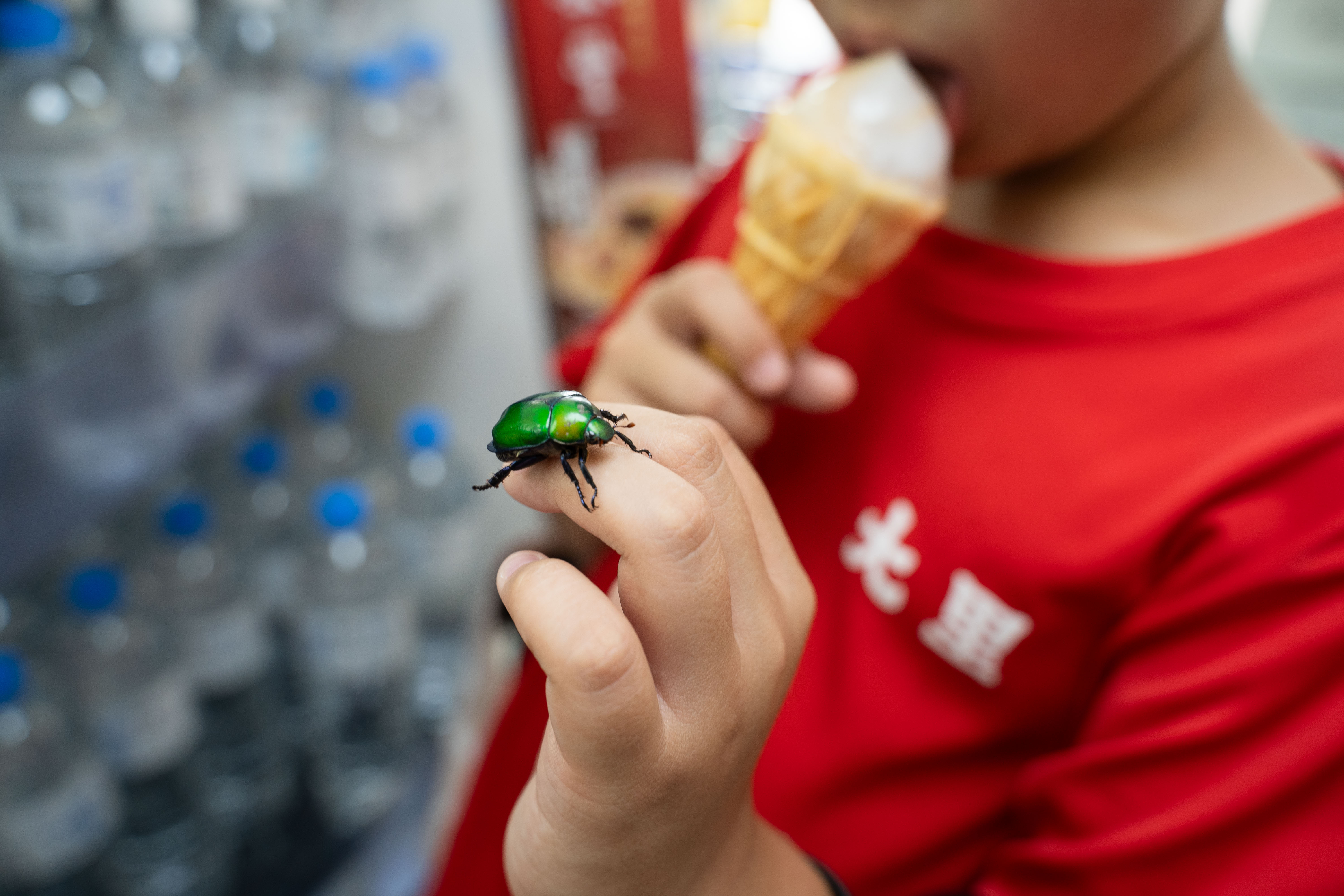 （攝影／唐佐欣）