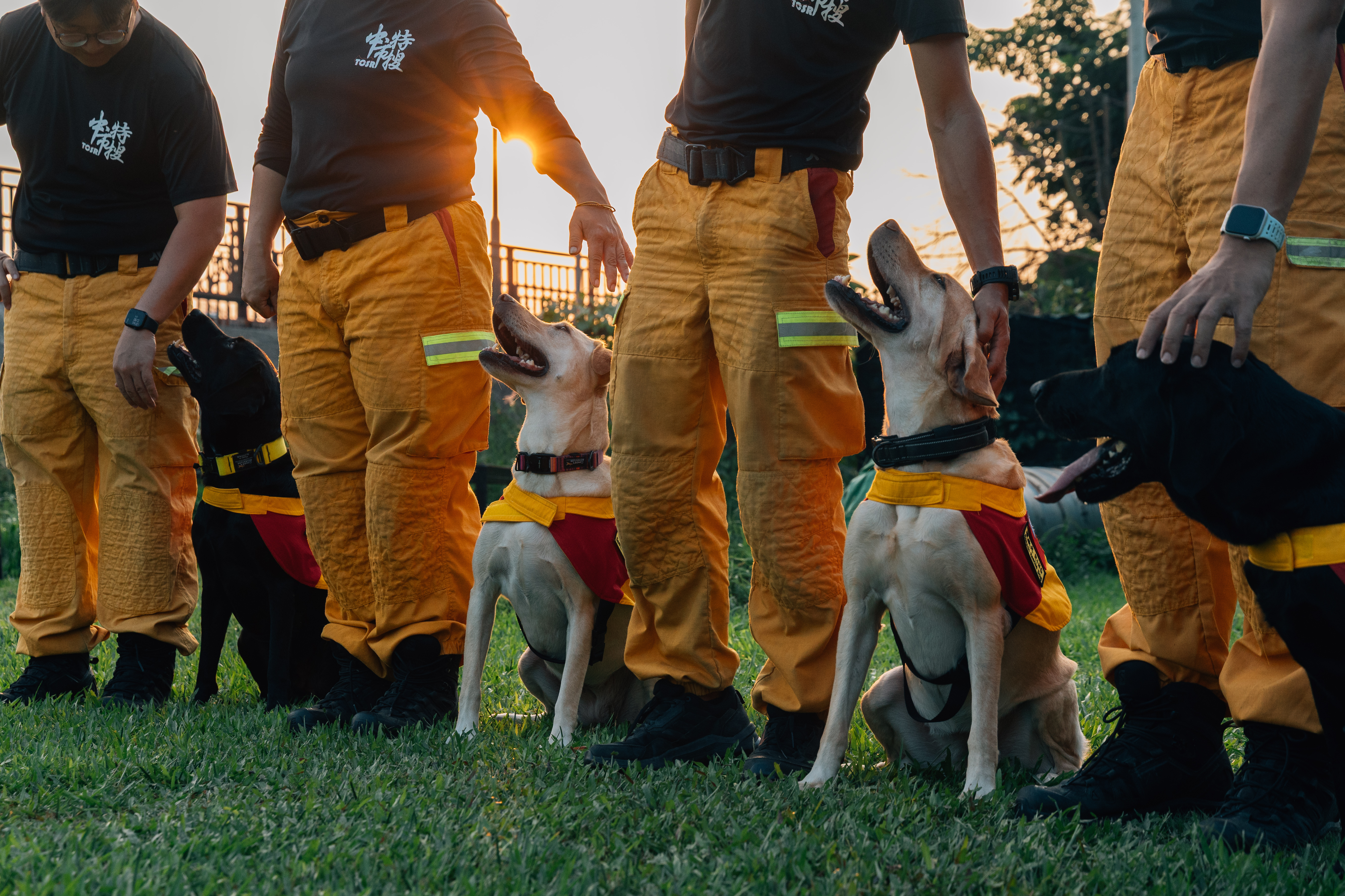 搜救犬與領犬員並肩在瓦礫間穿梭，也是災難現場的救難英雄。4隻搜救犬，由左到右為Rooney、Queen、Ring和Parker。（攝影／鄭宇辰）