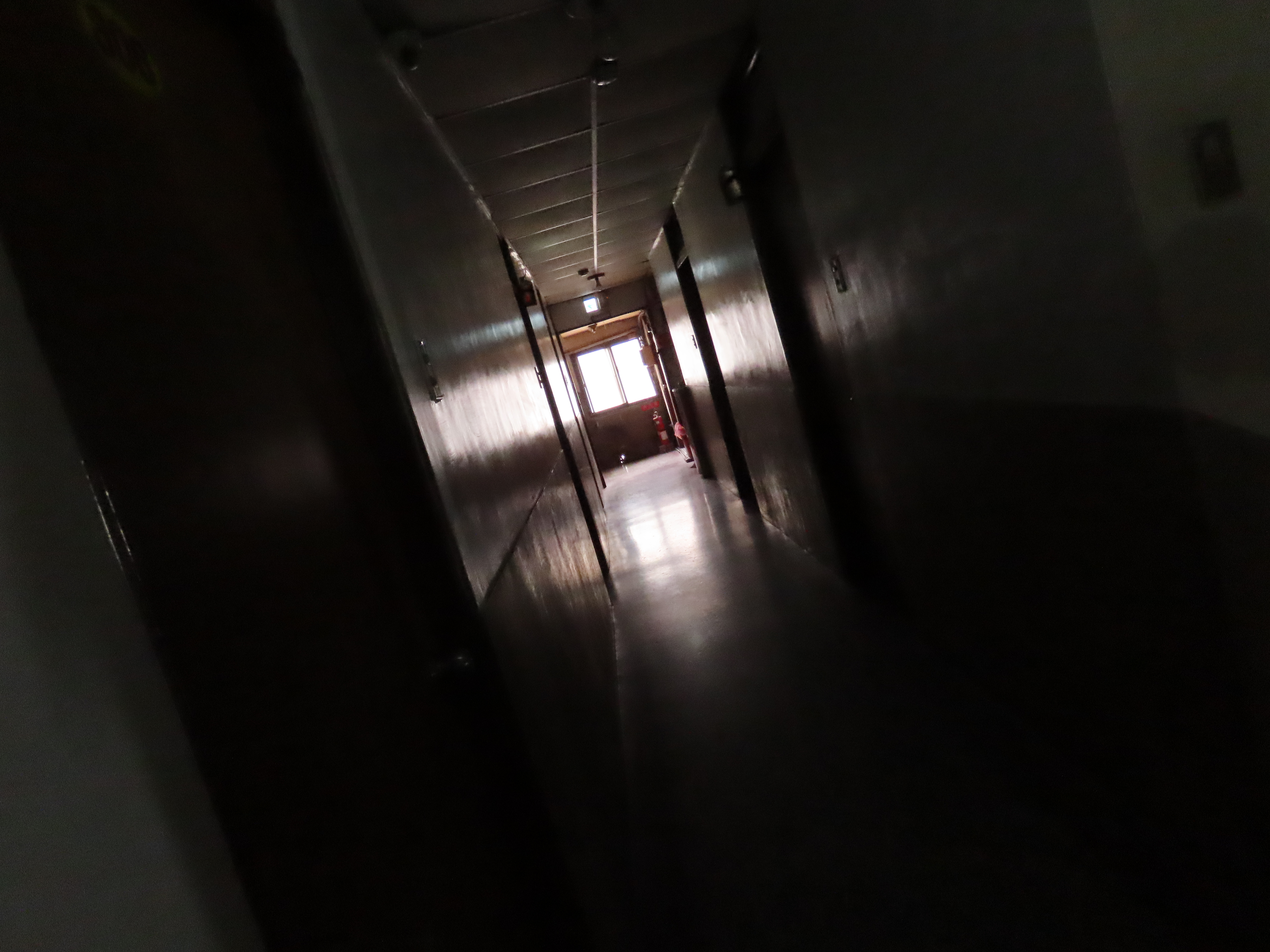 （攝影／李貞儀）