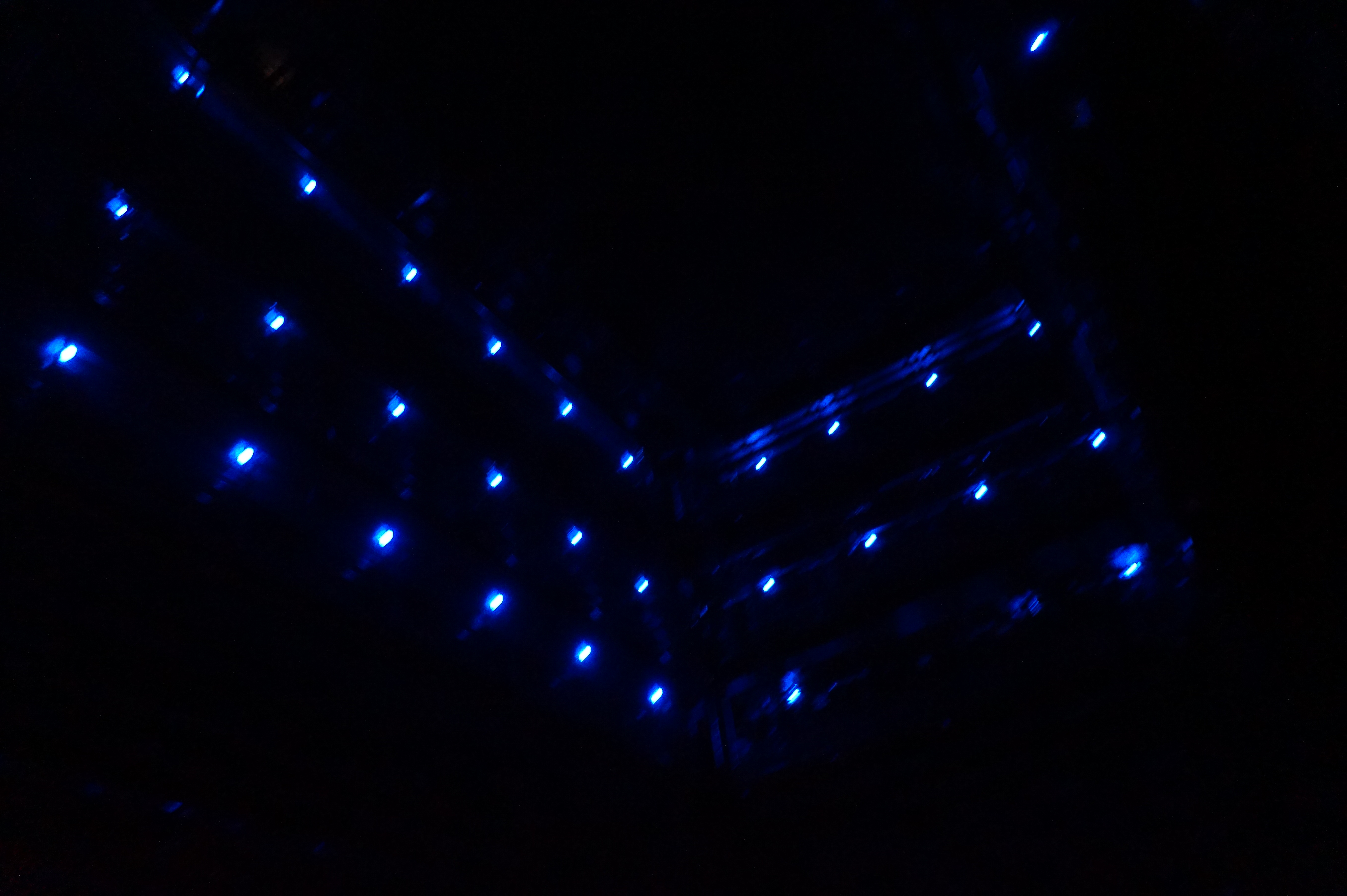 （攝影／張佐蔓）