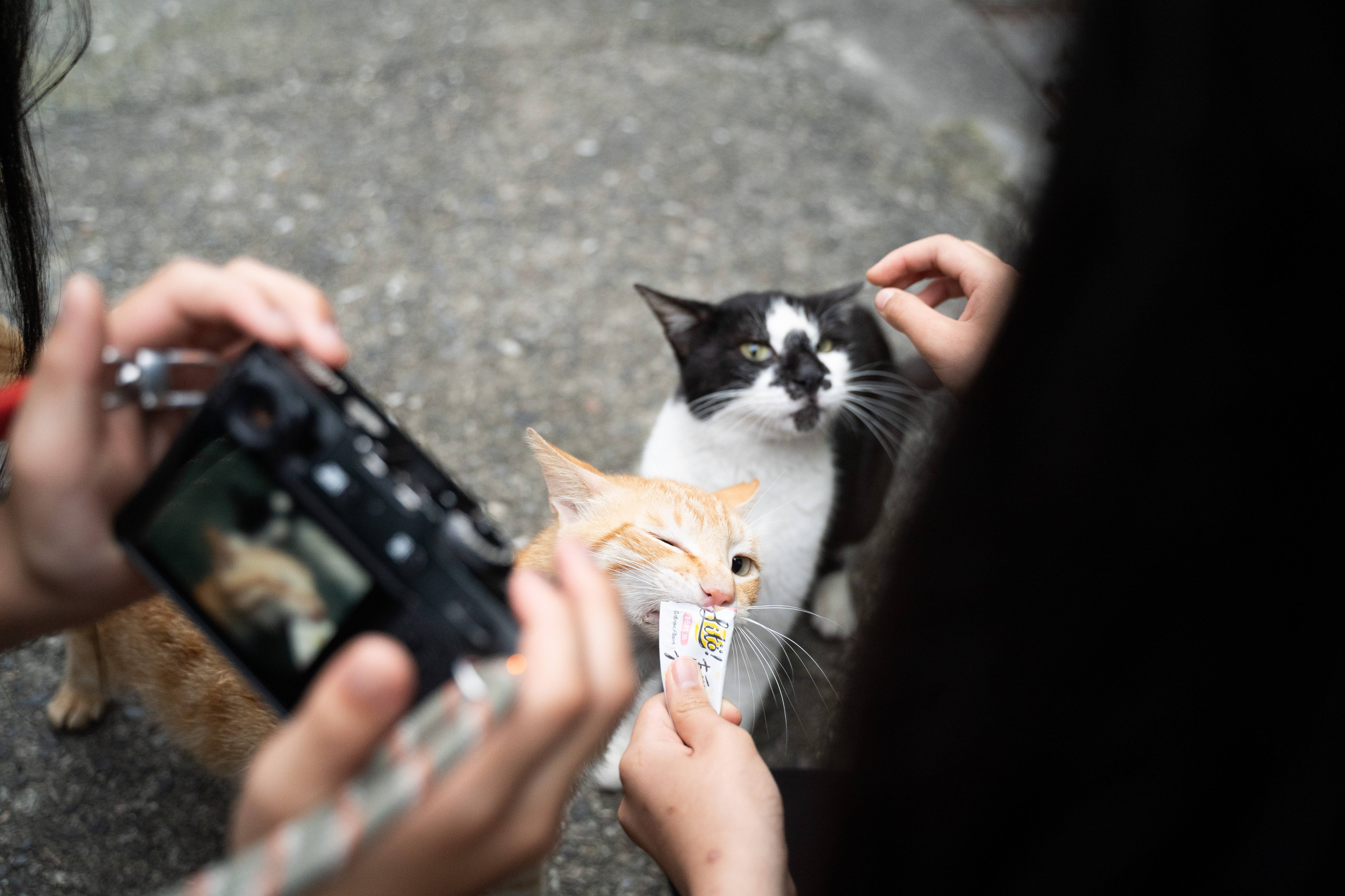 （攝影／唐佐欣）