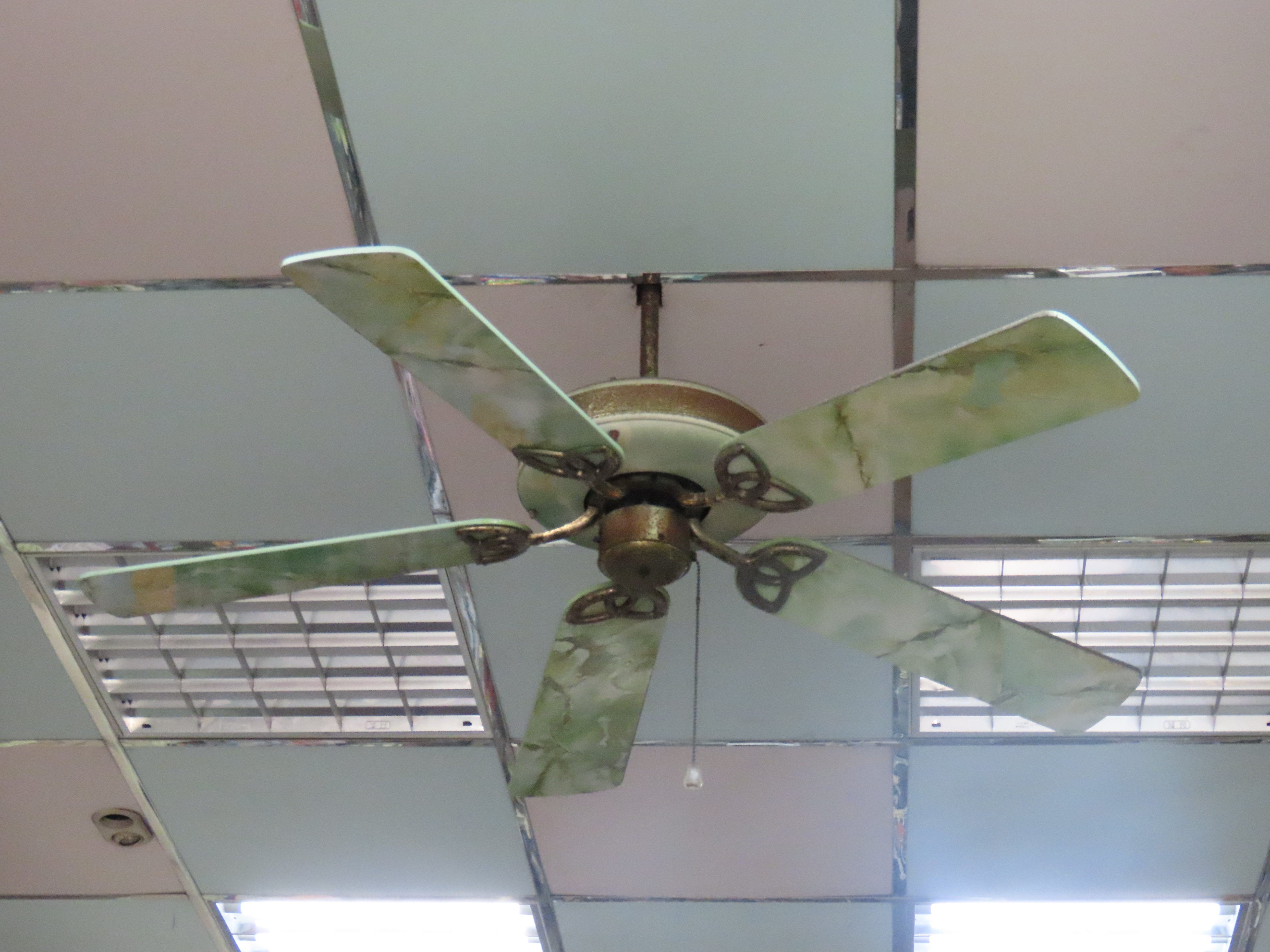 （攝影／郭漢威）