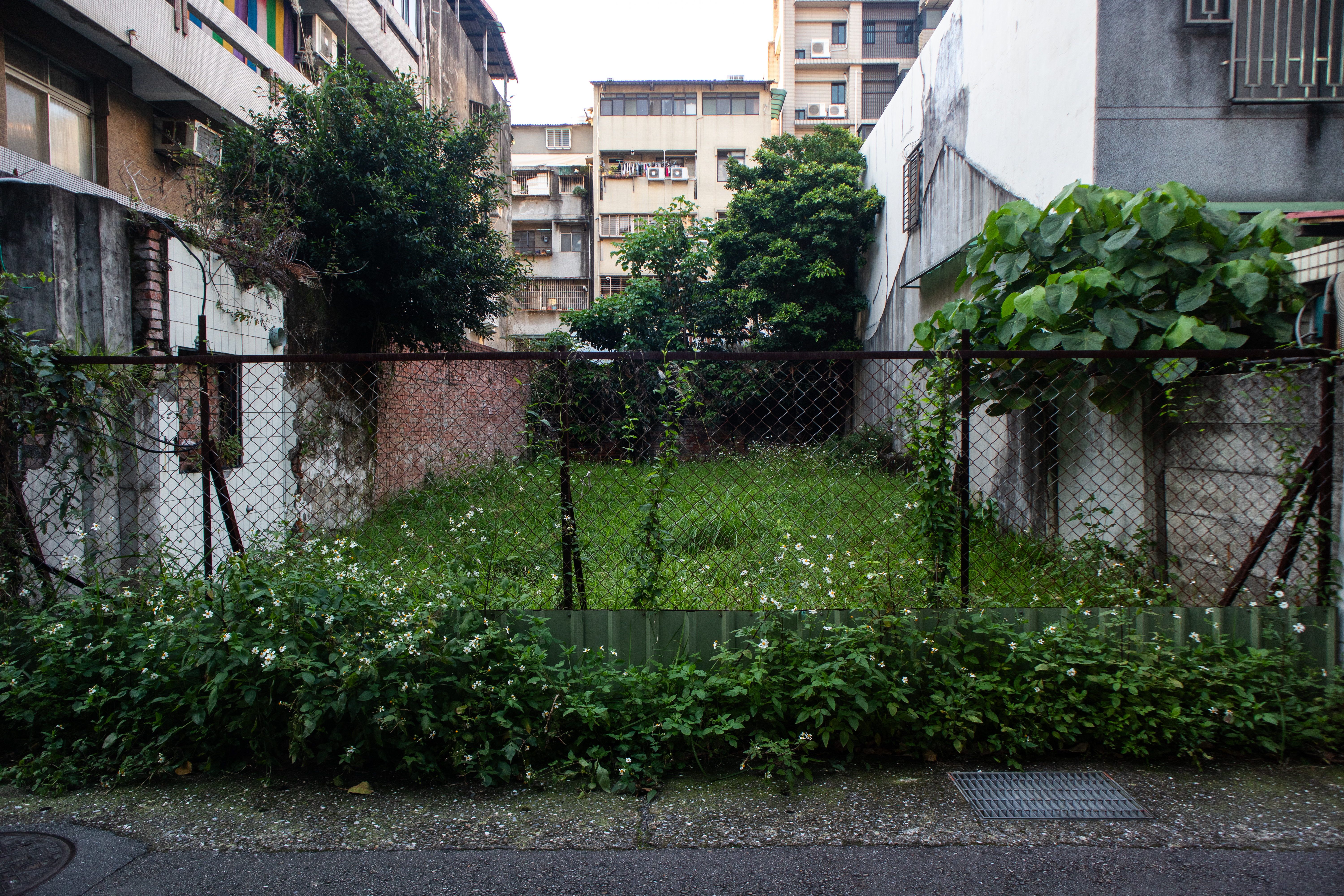 （攝影／蔡昕翰）