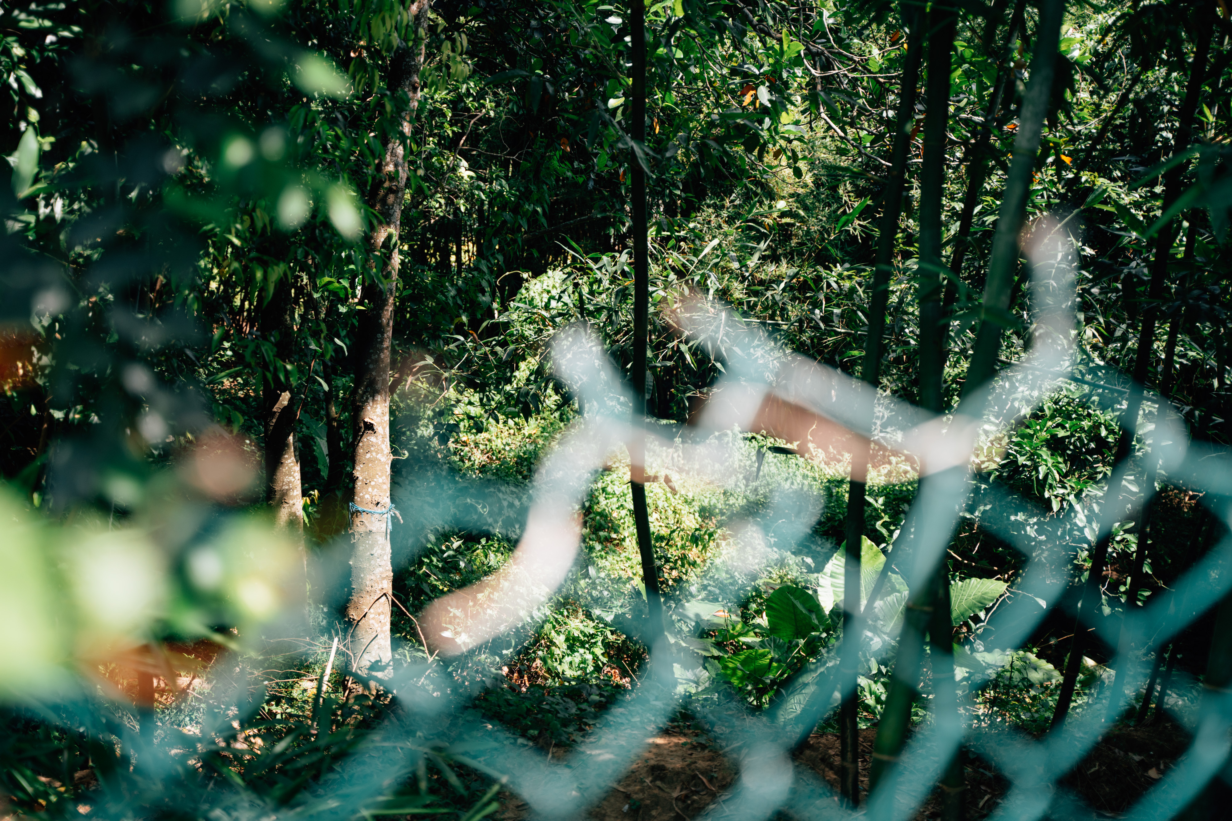 （攝影／邱恬沁）