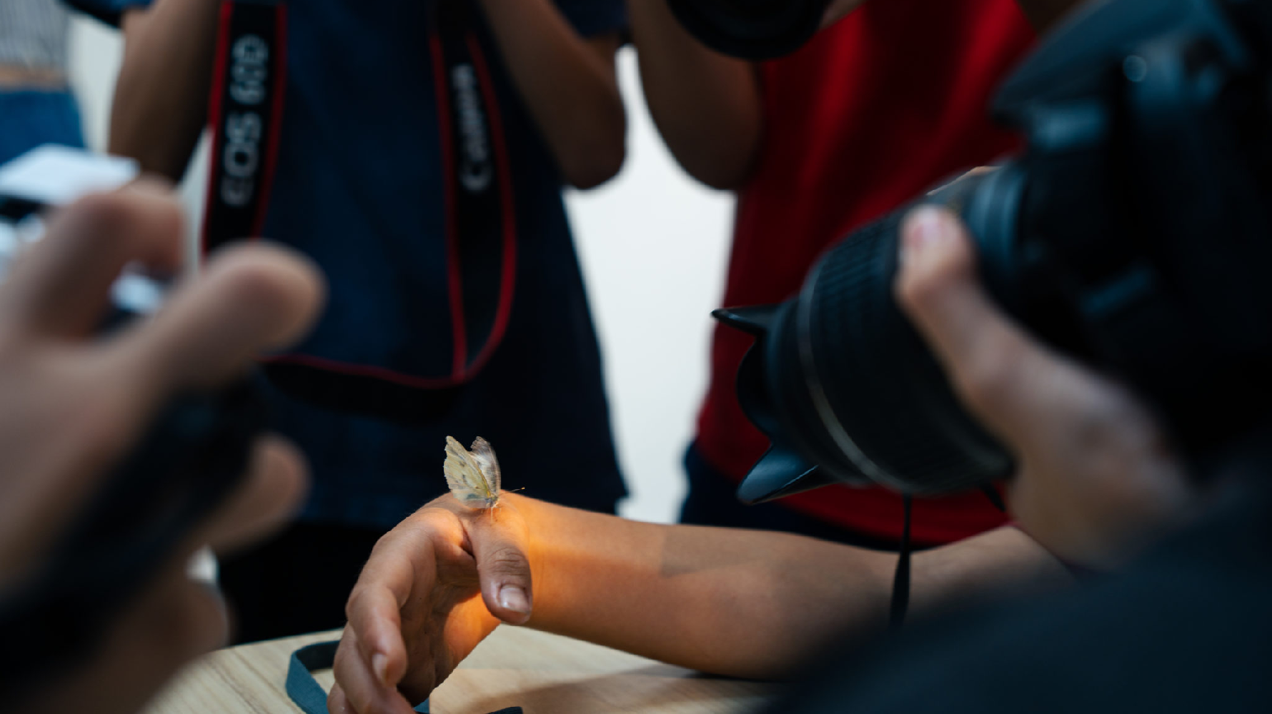 同學們拿著相機，經過觀察後，拍下平時沒注意到的美景。