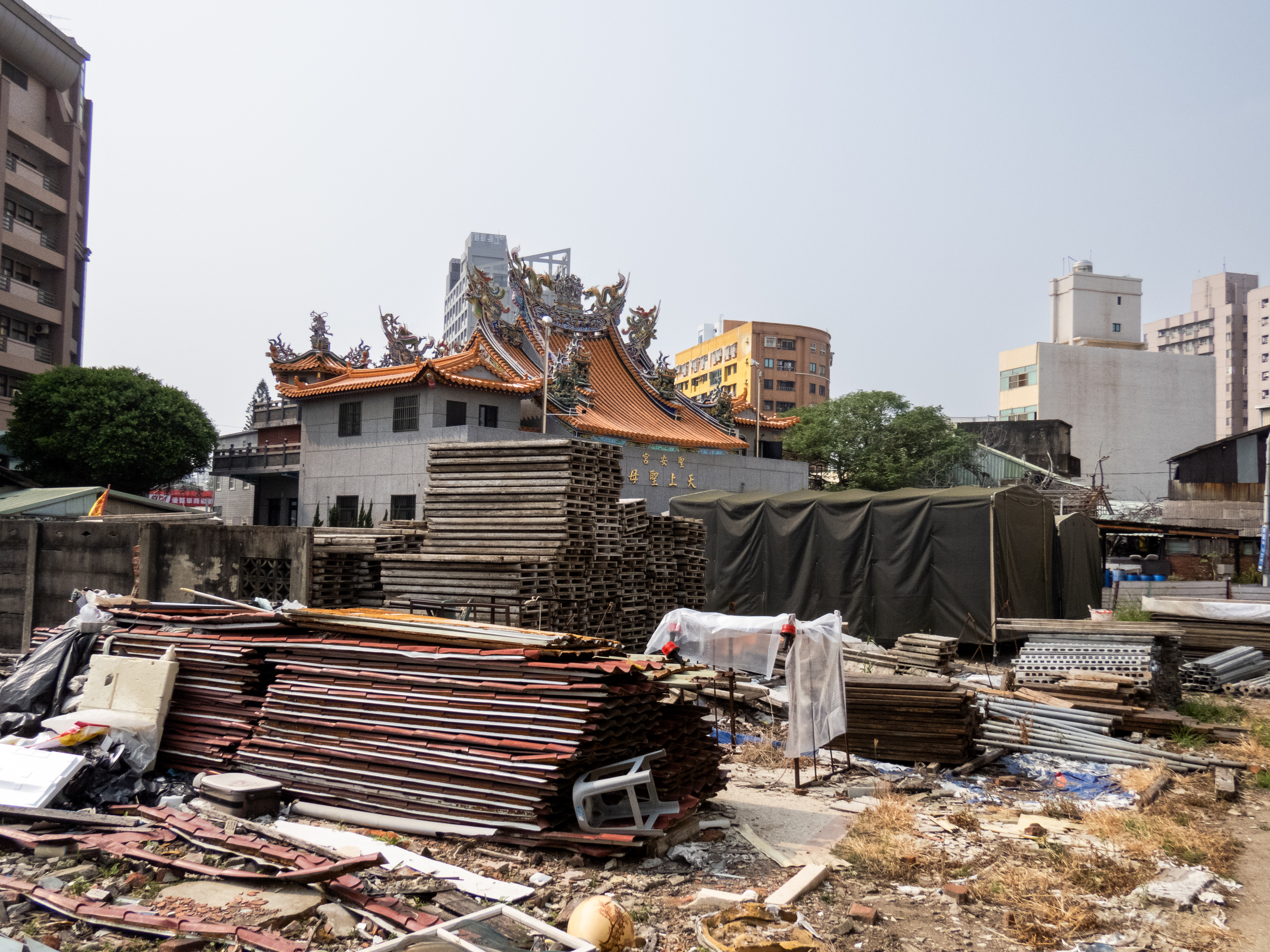 （攝影／林可）