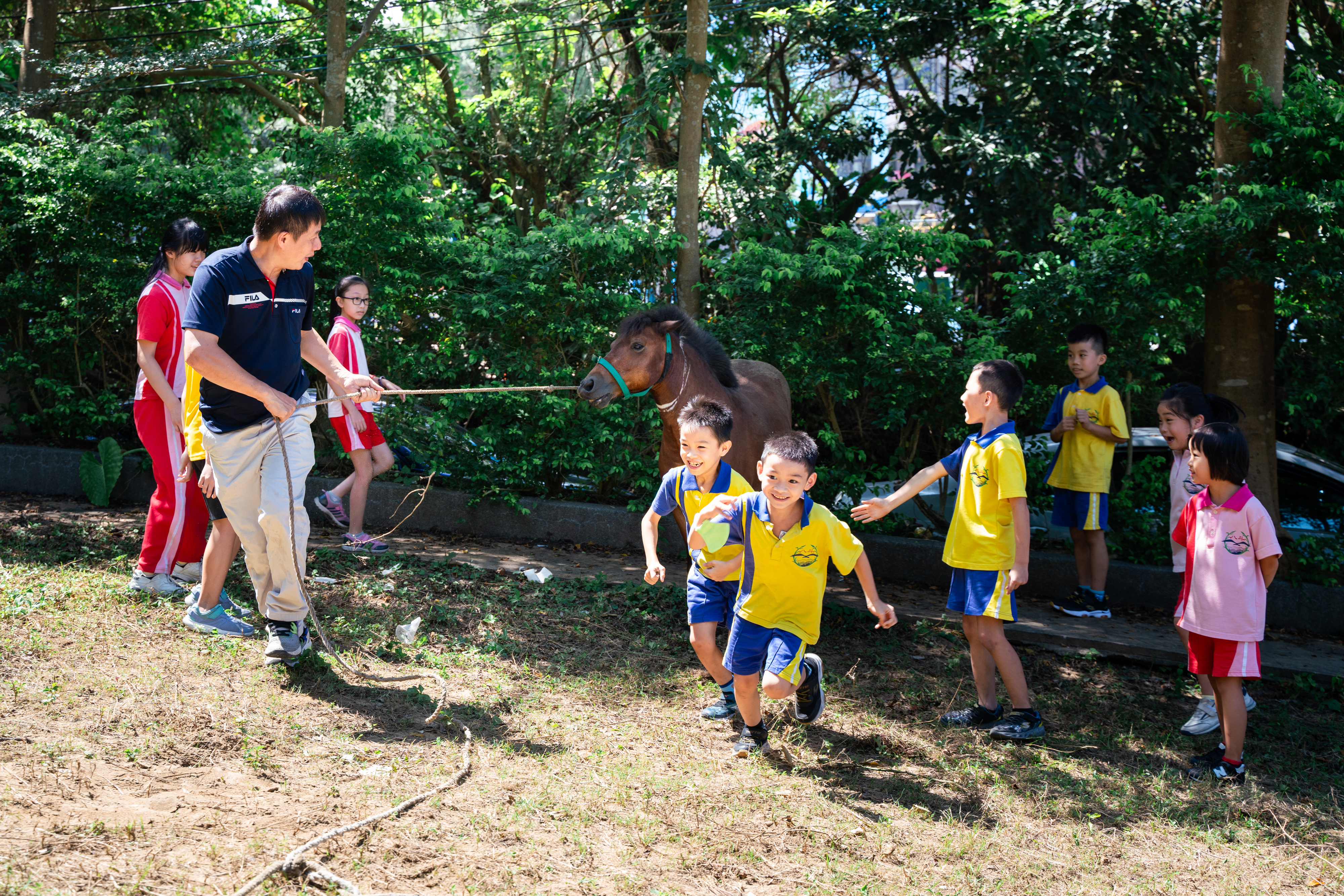 八斗國小從低年級到高年級都有與馬匹相關的生命教育課程規畫，除了由校馬巧克力擔任助教，學生也會到校外的馬場學習。（攝影／古佳立）