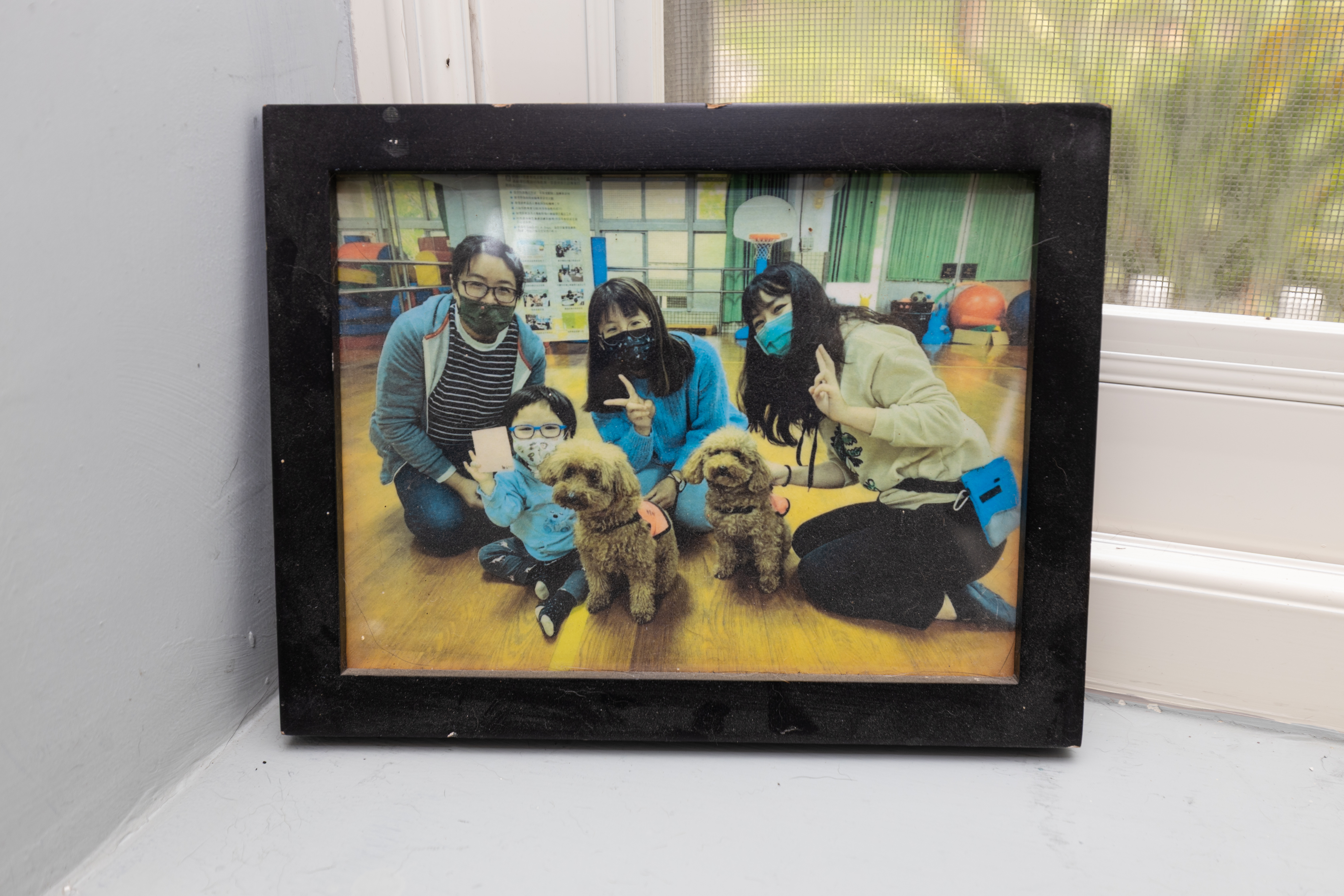 屏東大學帶著學習輔助犬在南部地區推動特殊教育工作，也留下許多與孩子們相處的合影。（攝影／蔡昕翰）