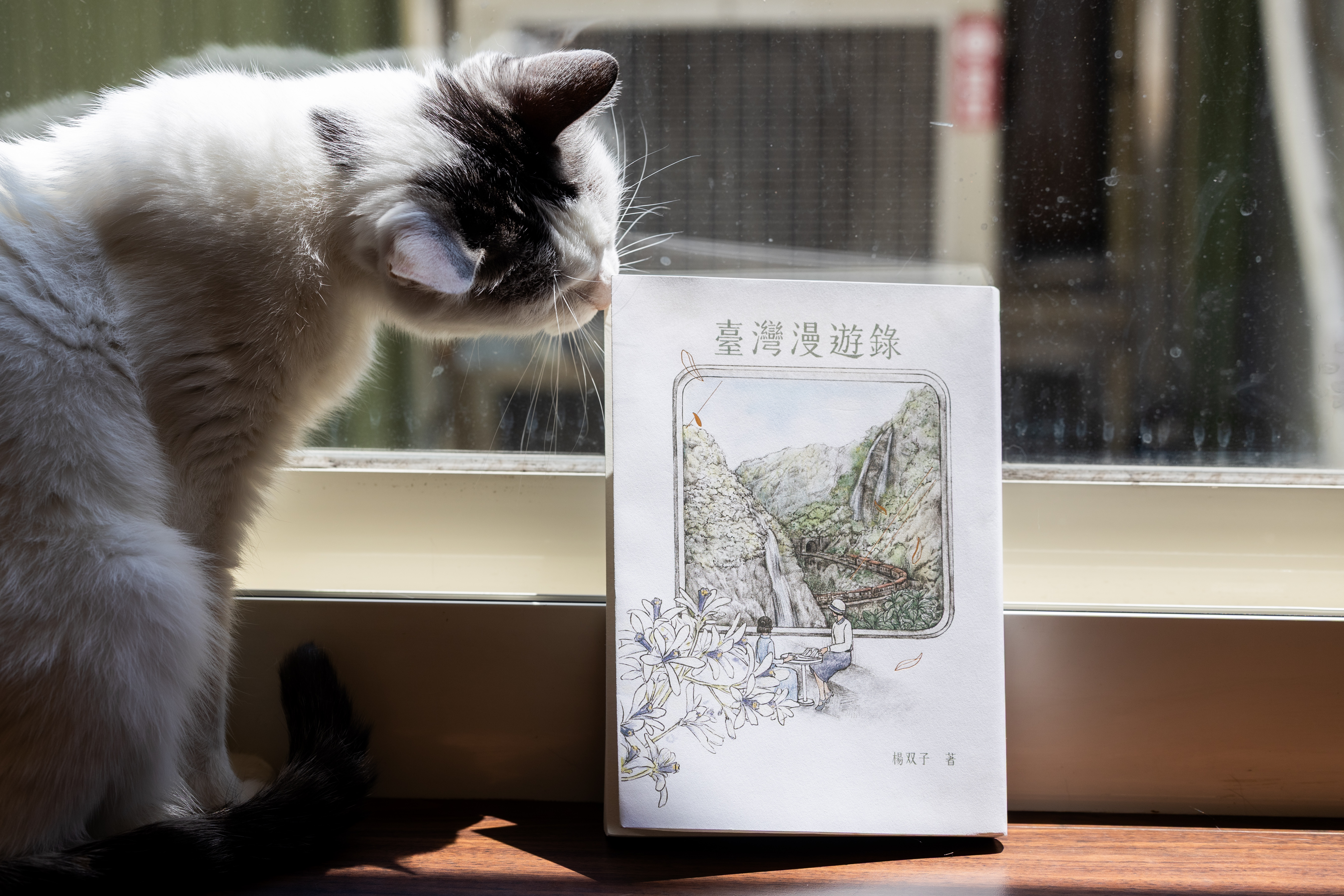 楊双子於2020年出版小說《臺灣漫遊錄》，4年後拿下美國國家圖書獎翻譯文學獎殊榮。（攝影／蔡昕翰）