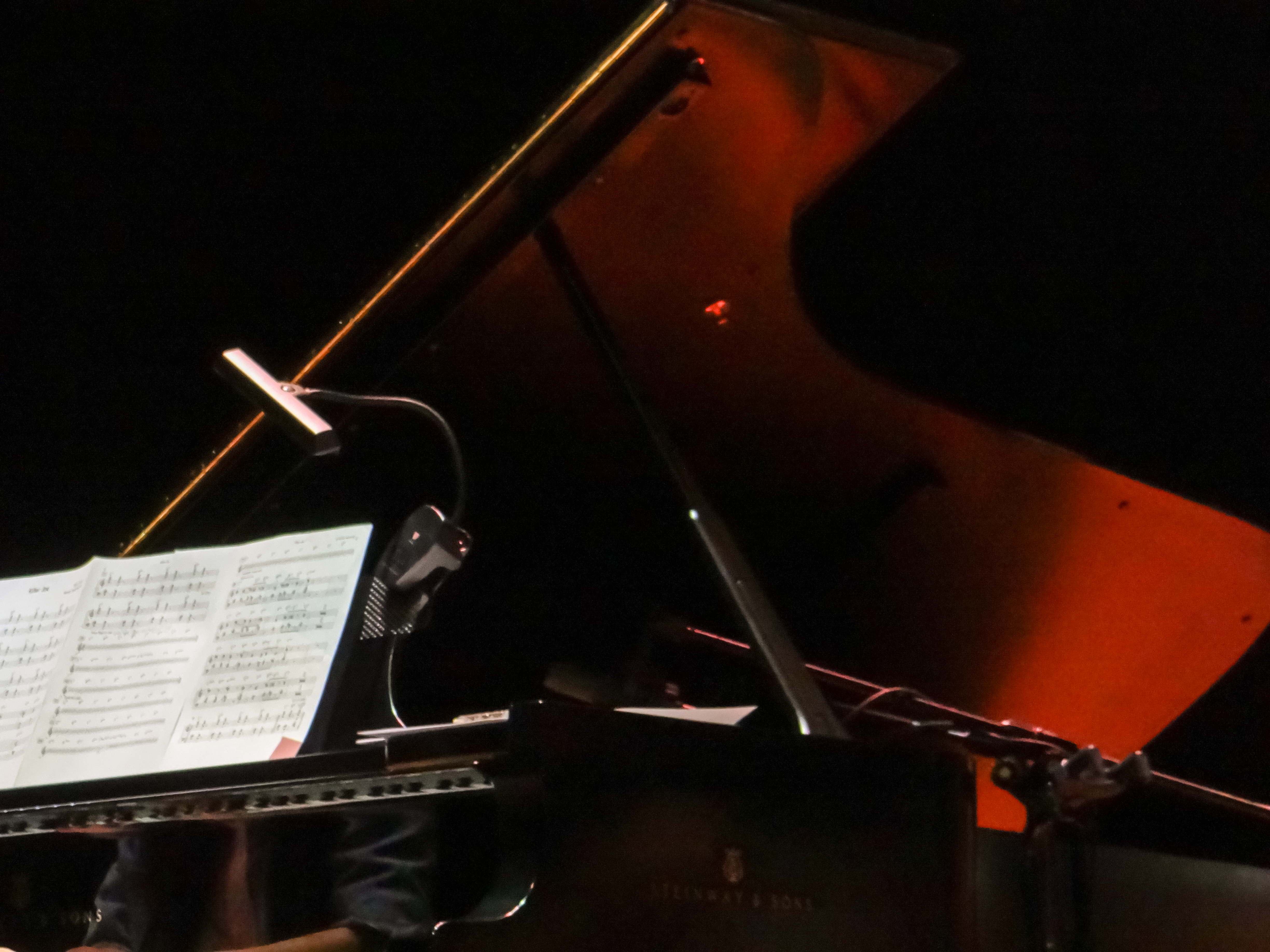 （攝影／張恩雅）