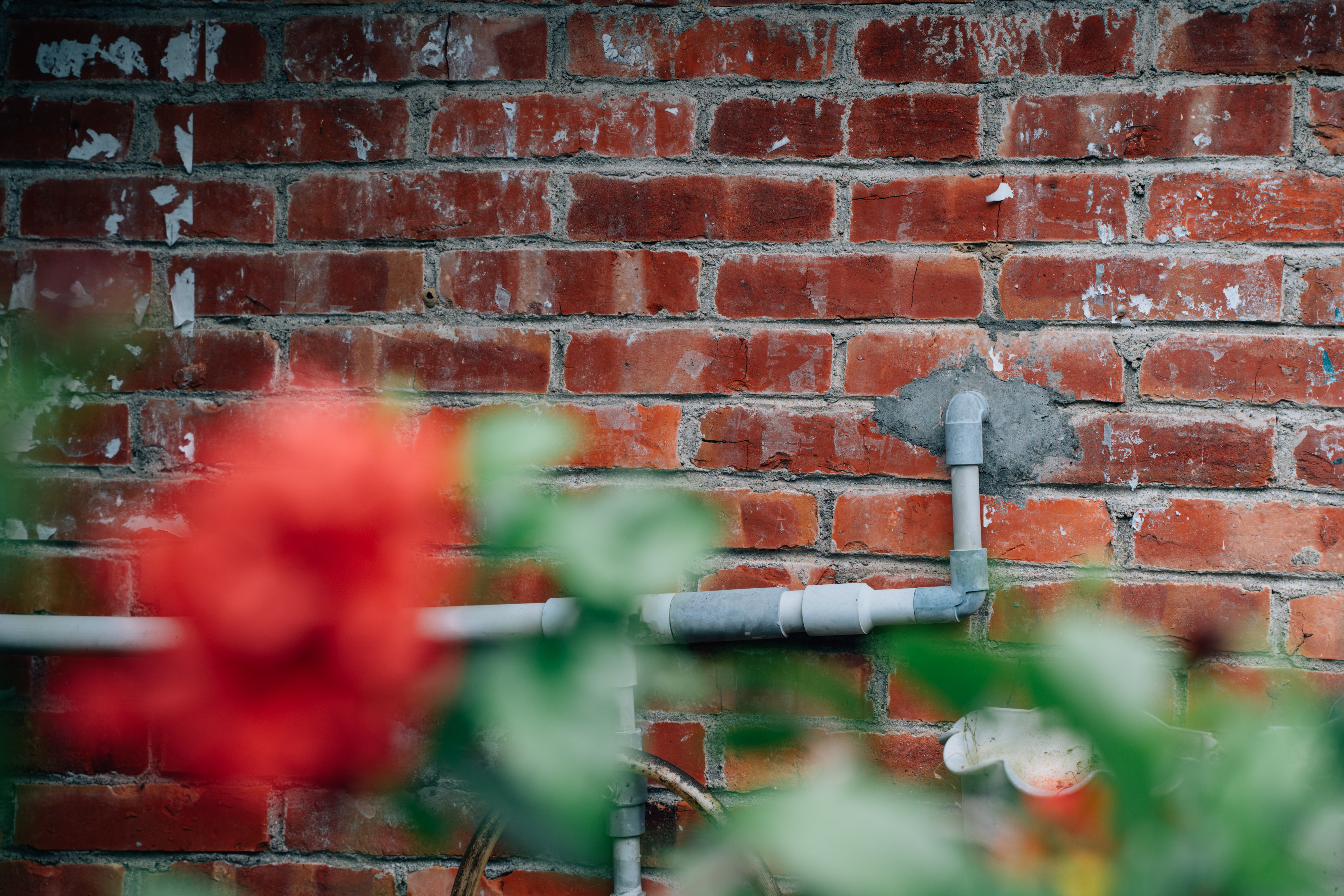 （攝影／竹東國中同學）